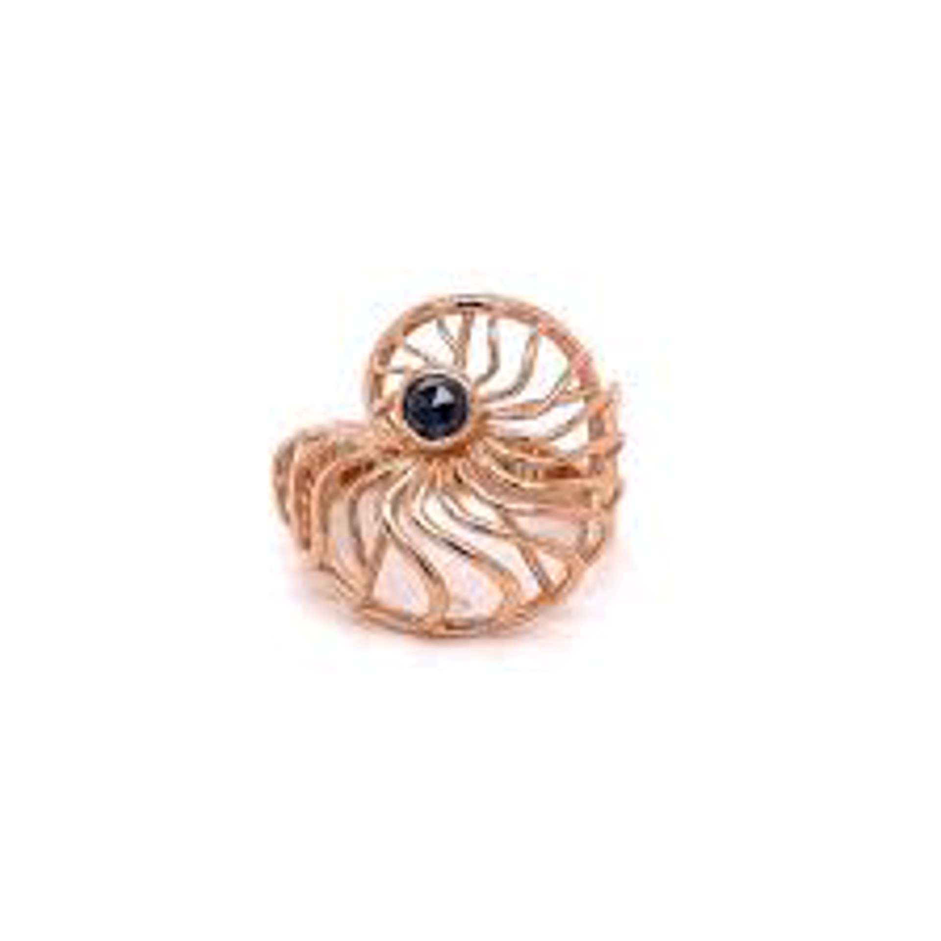 Ammonite Shell Ring by Llyn Strong