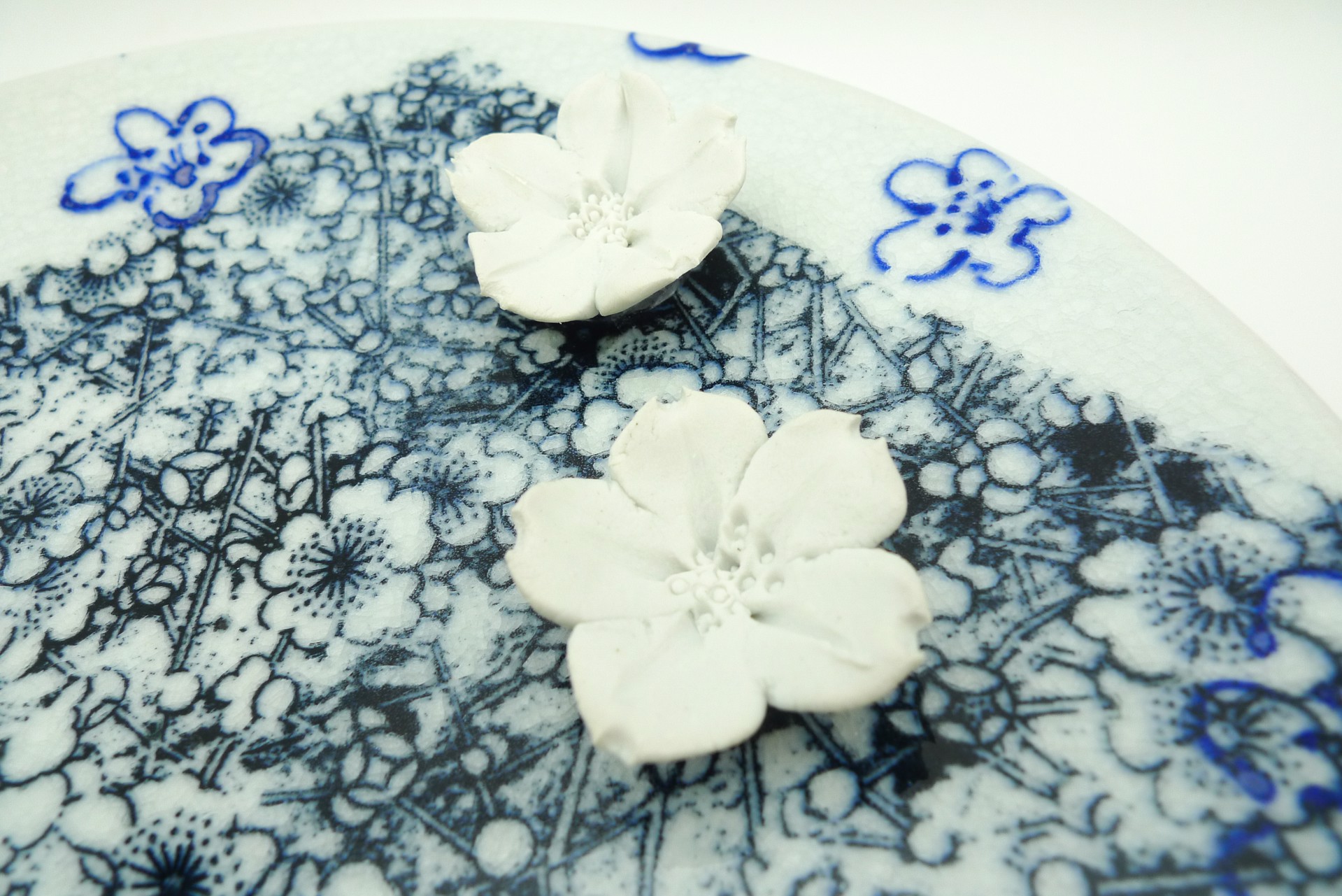 Cherry Blossoms by Juliane Shibata