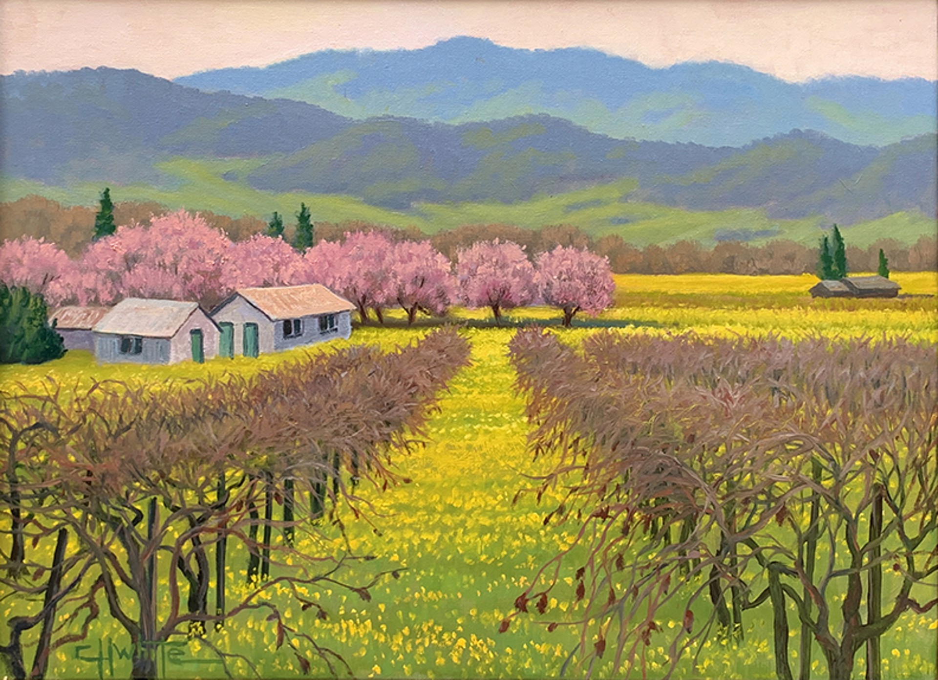 Napa Valley Spring by Charles White