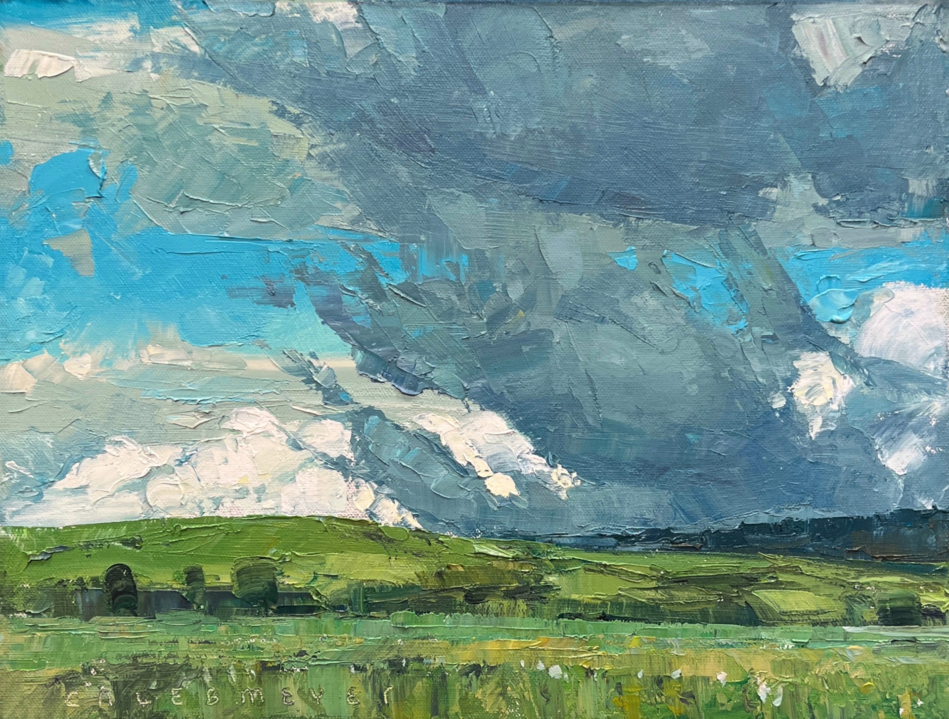 Montana In Green Study by Caleb Meyer