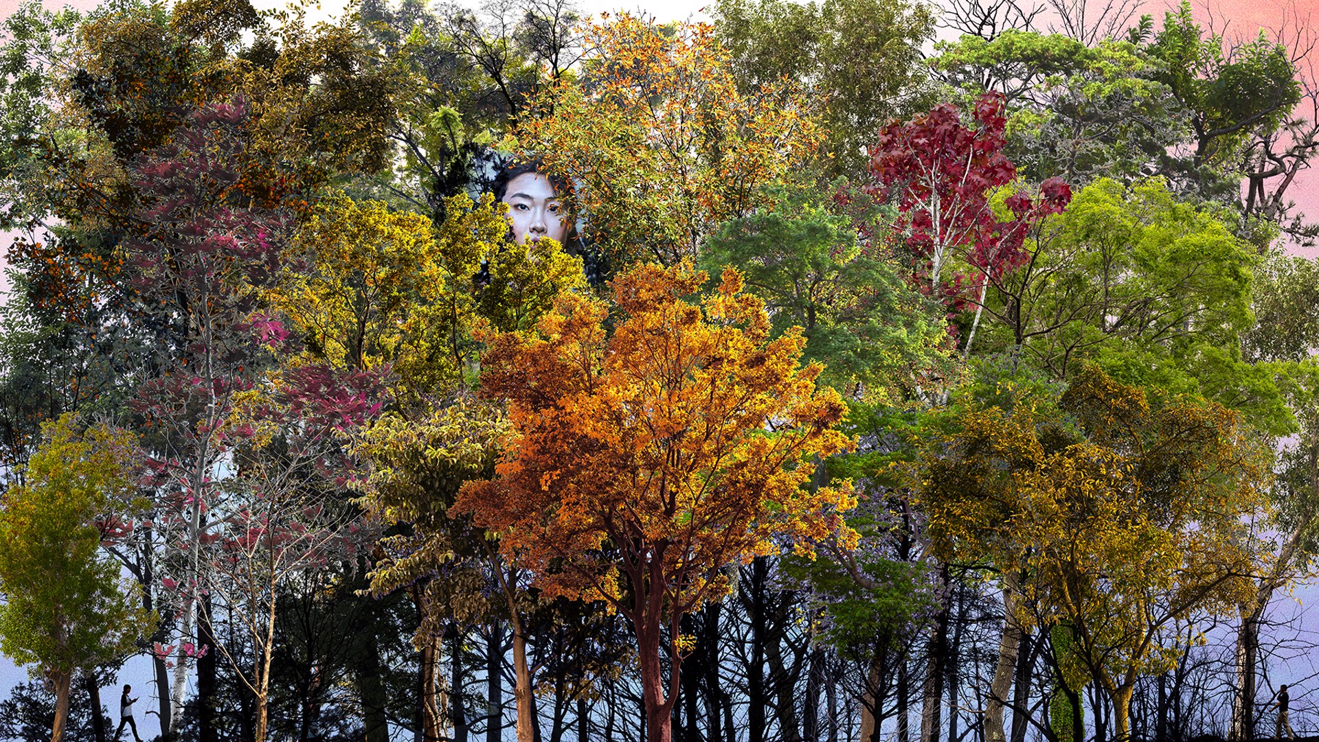 Urban Forests_02 by Young Sam Kim