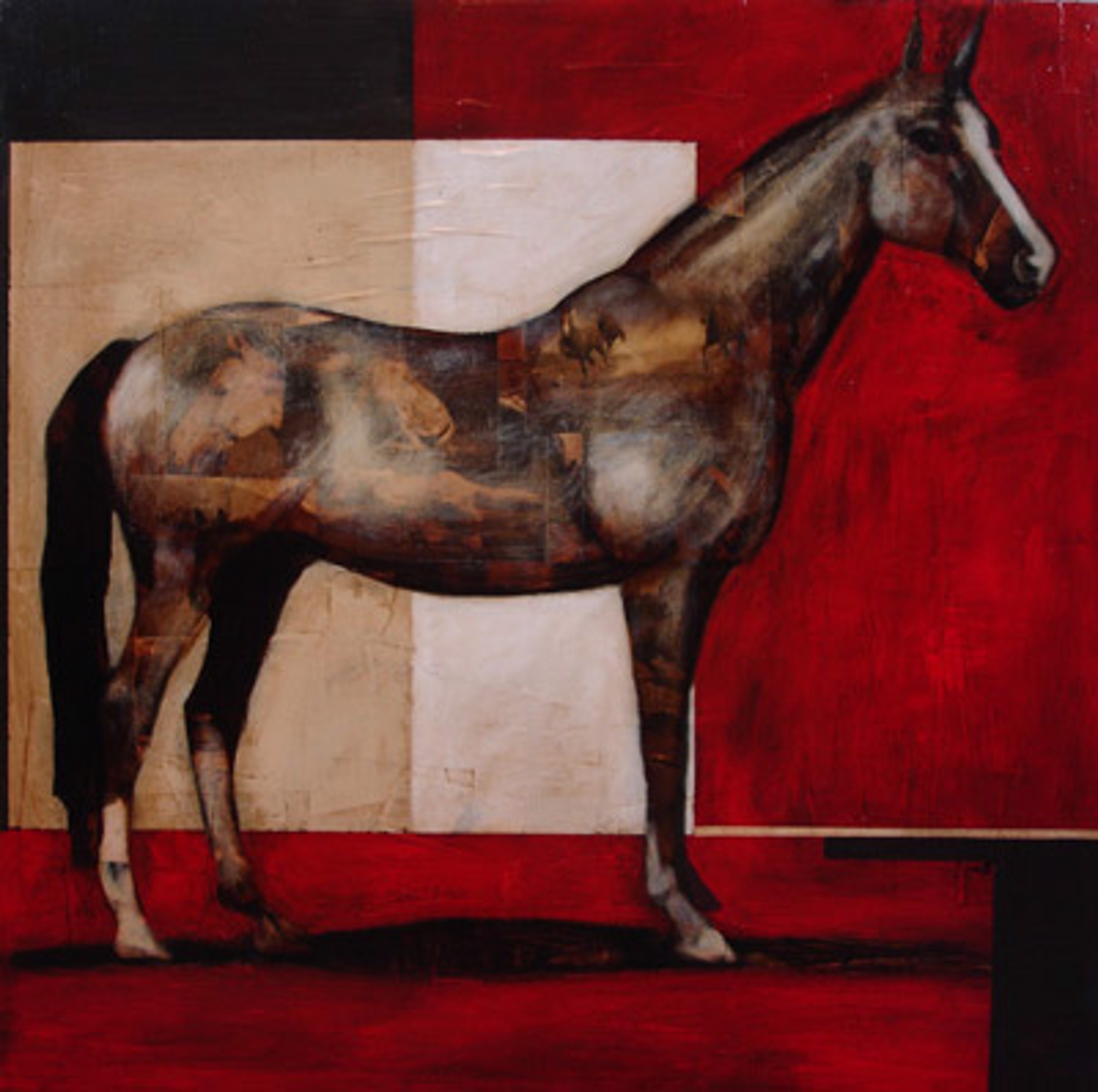 Horse 180 by Brian Hibbard