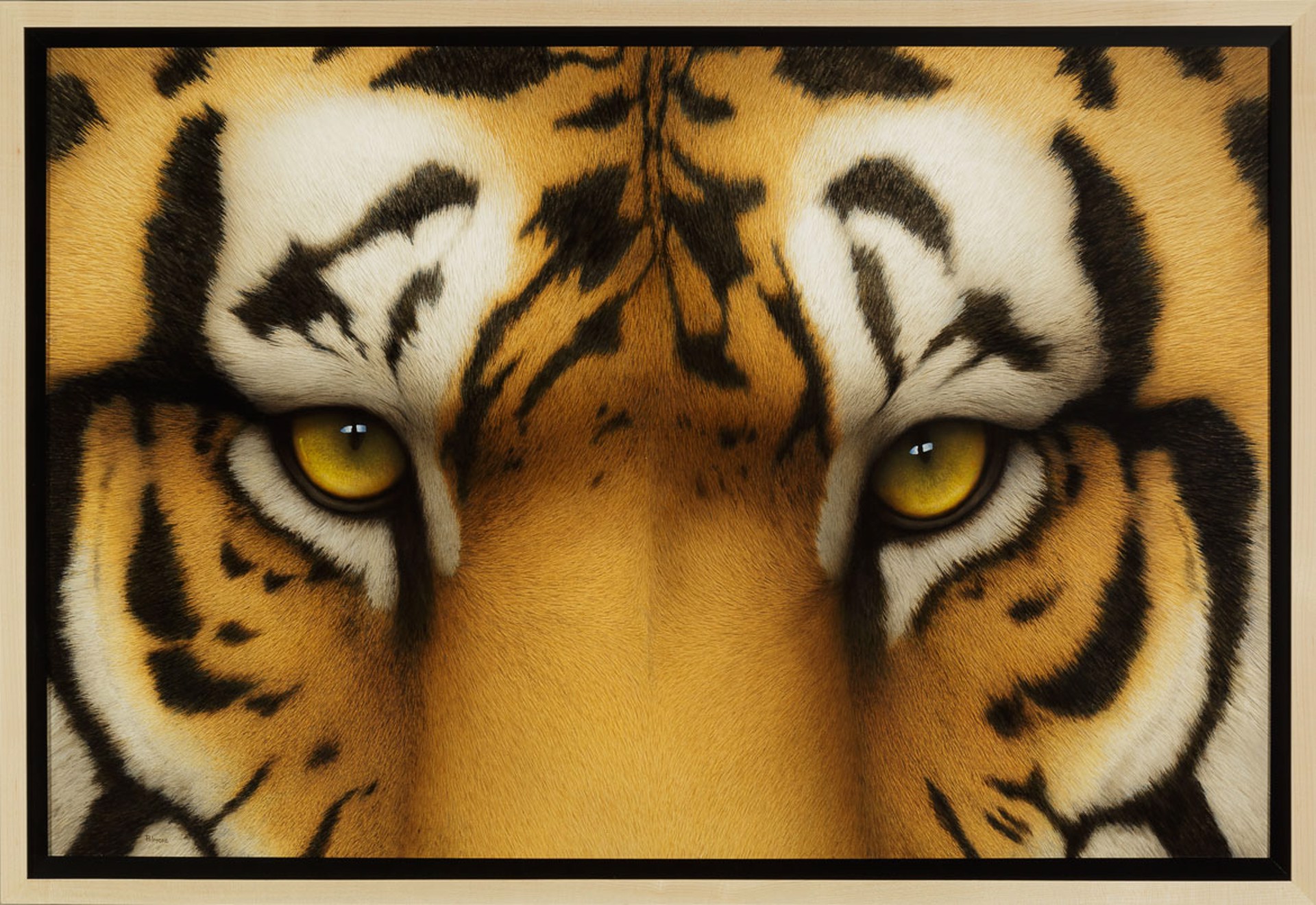 Tiger Eyes by Tom Palmore
