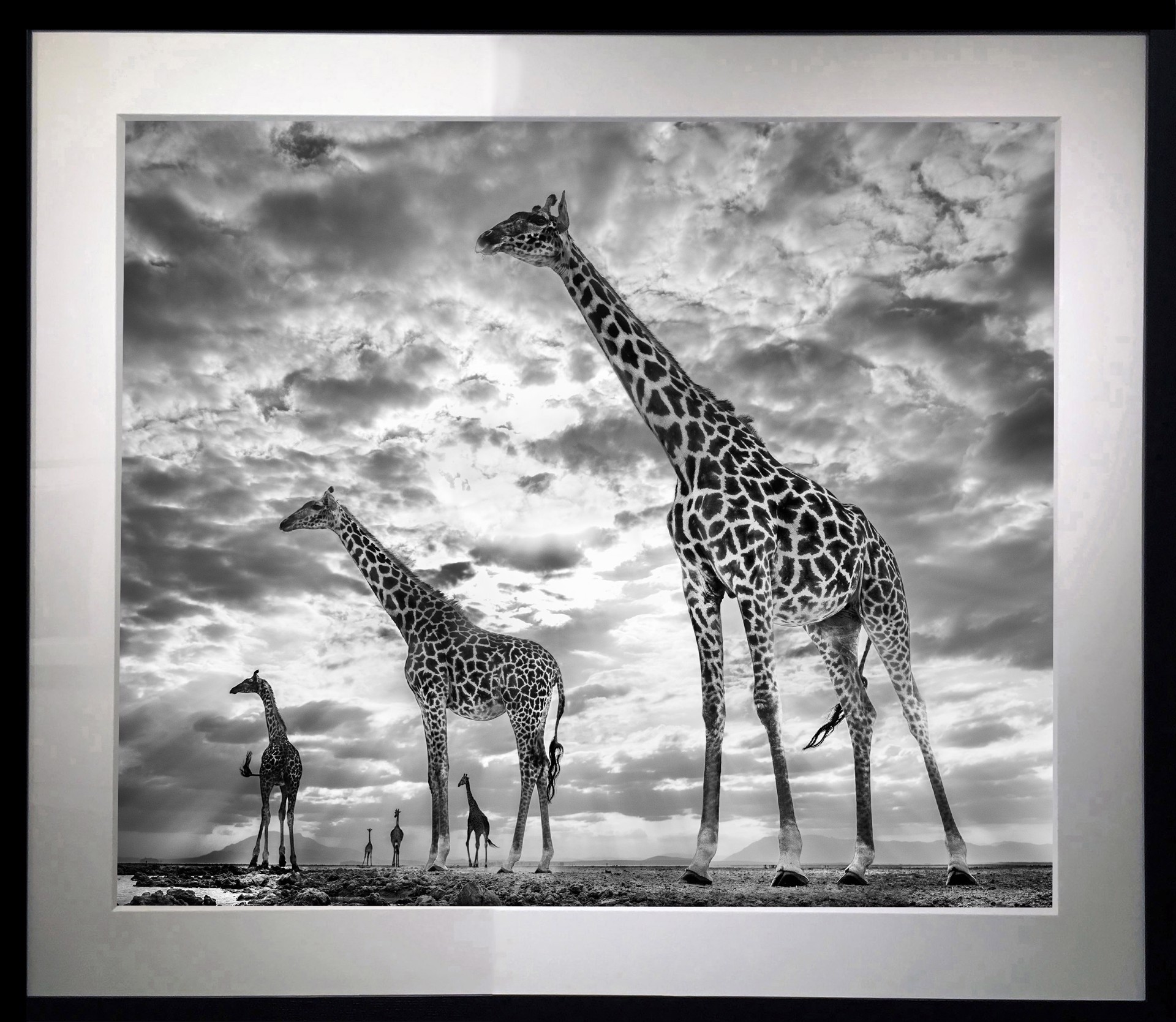 Keeping Up With The Crouches by David Yarrow
