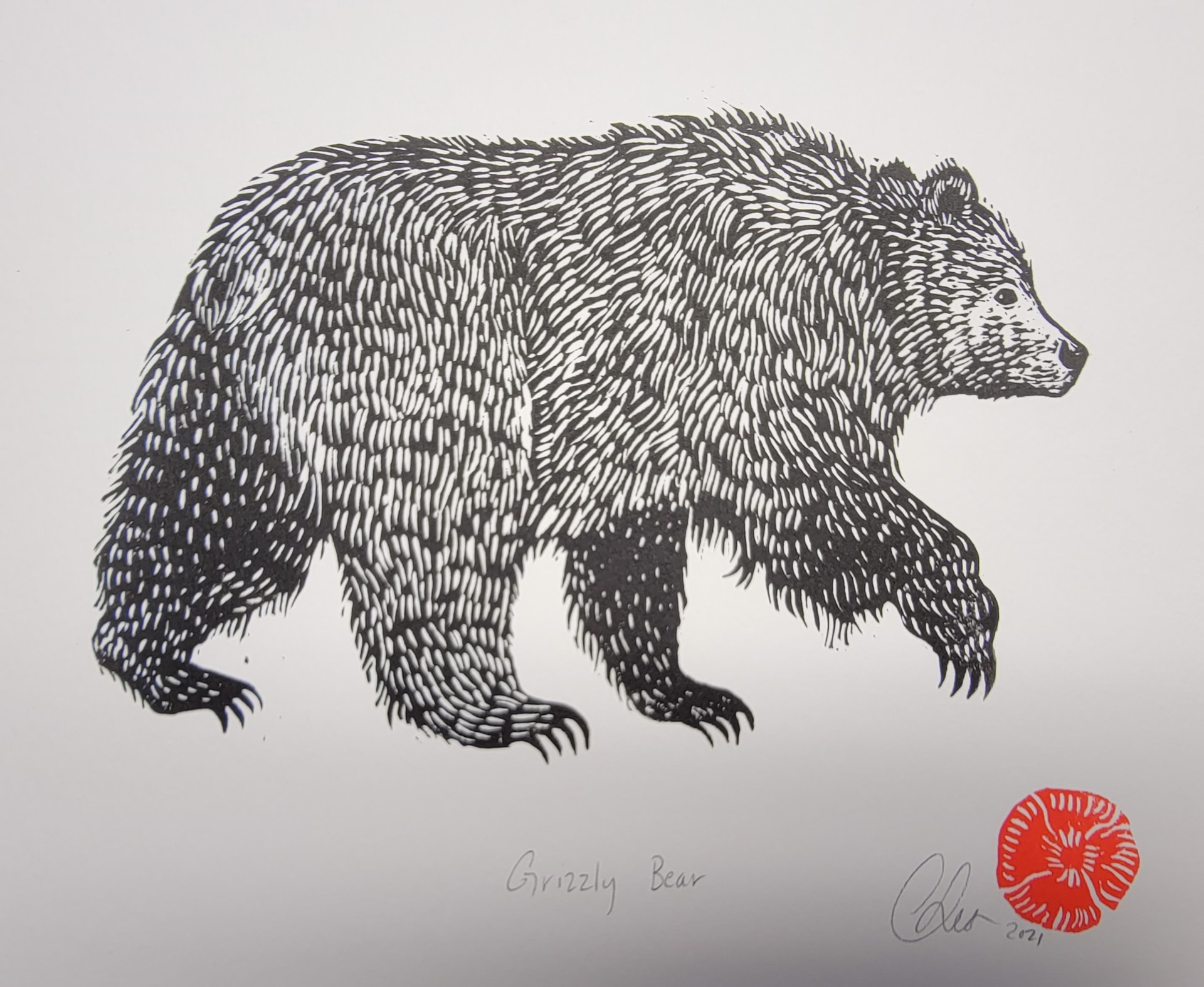 Grizzly Bear by Christine Sutton