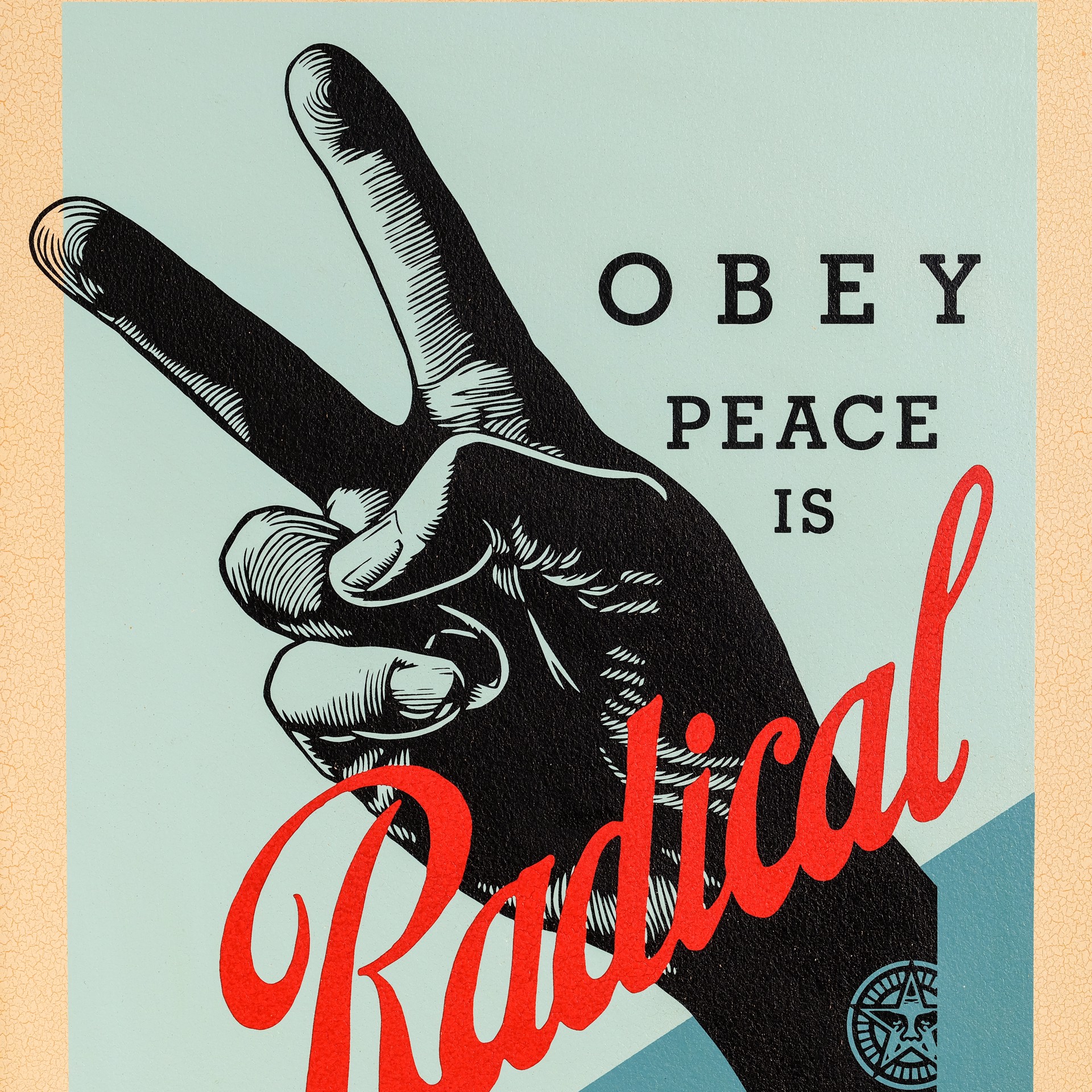 Radical Piece by Shepard Fairey / Limited editions
