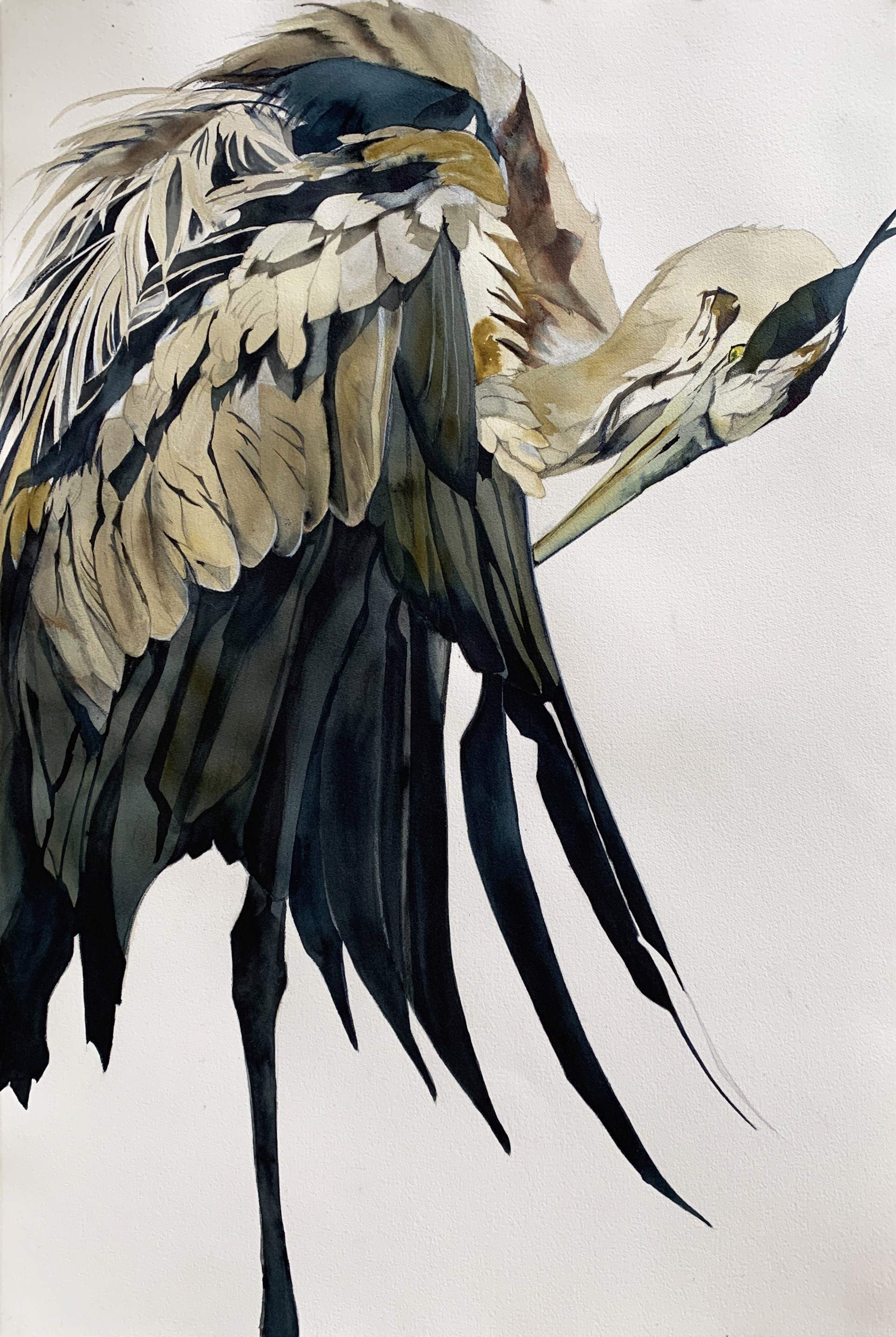 Cape by Heather Lancaster
