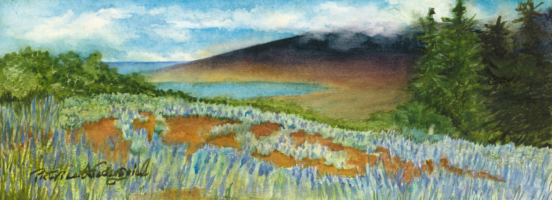 Maui Lavender Fields by Patrice Ann Federspiel