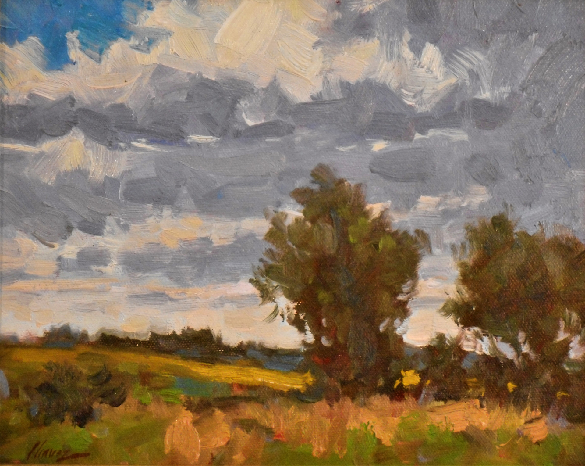 Cloud Movement by Lorenzo Chavez