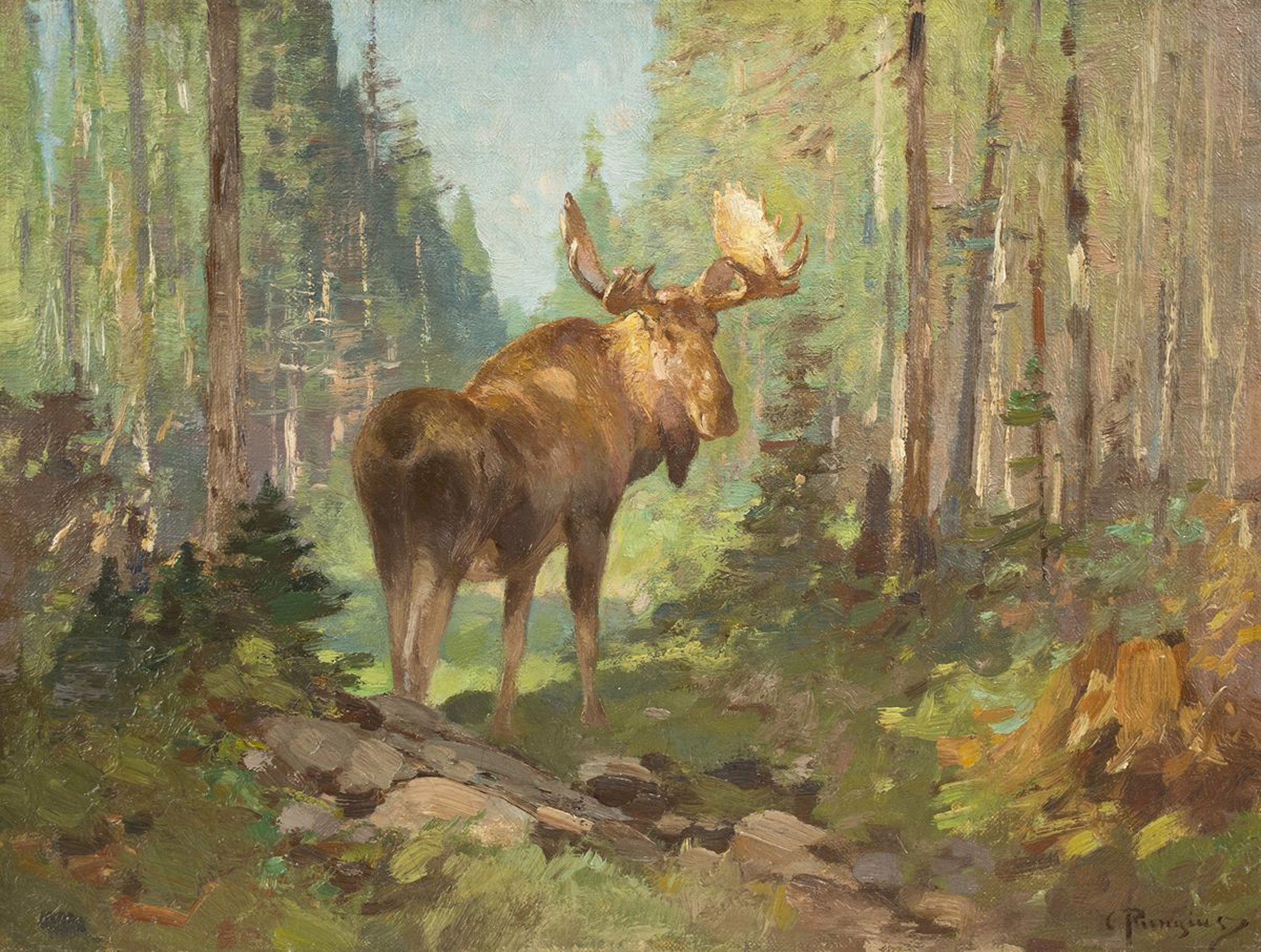 Woodland Moose by Carl Rungius