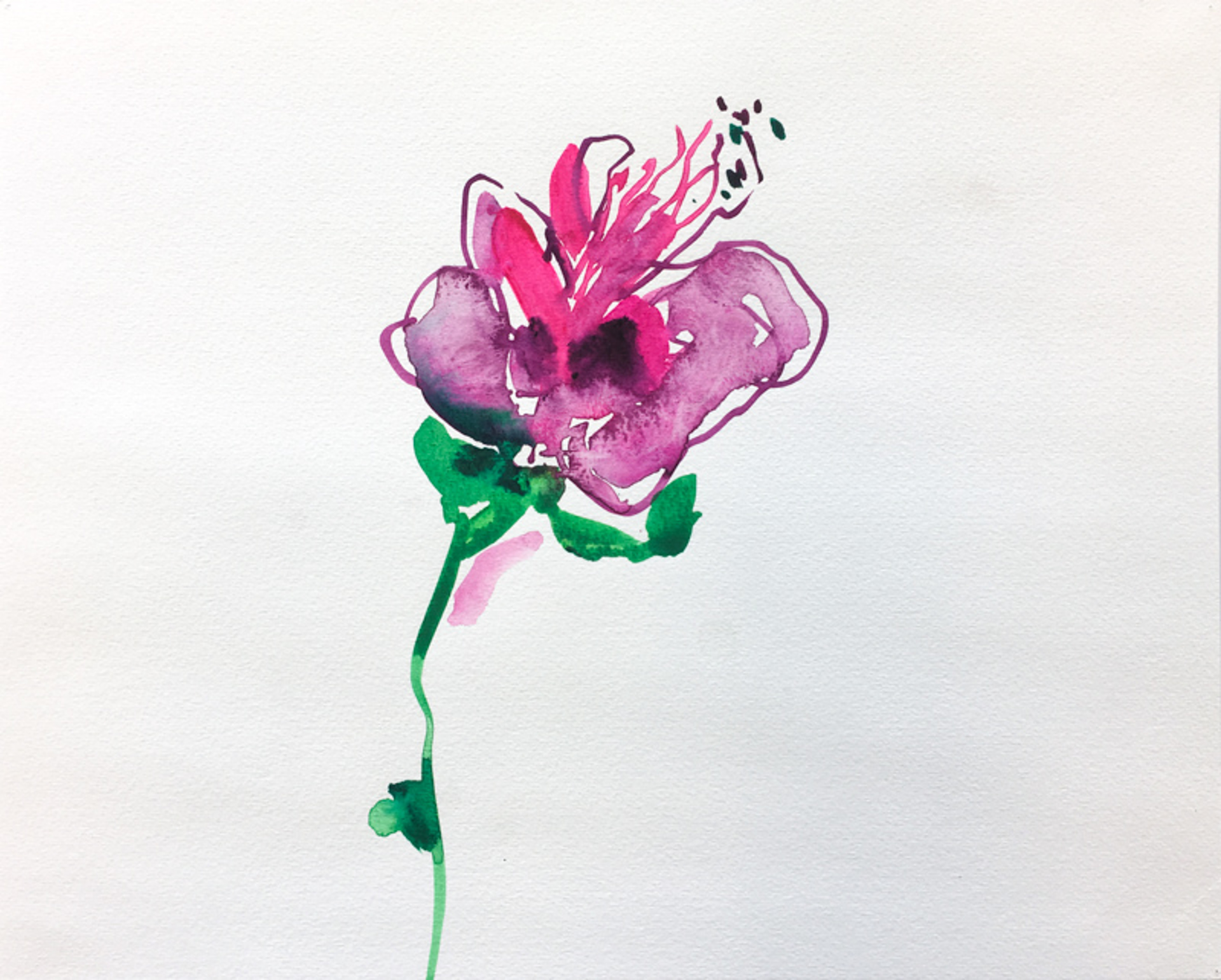 Floral Watercolor No. 1 by Christian Rothmann