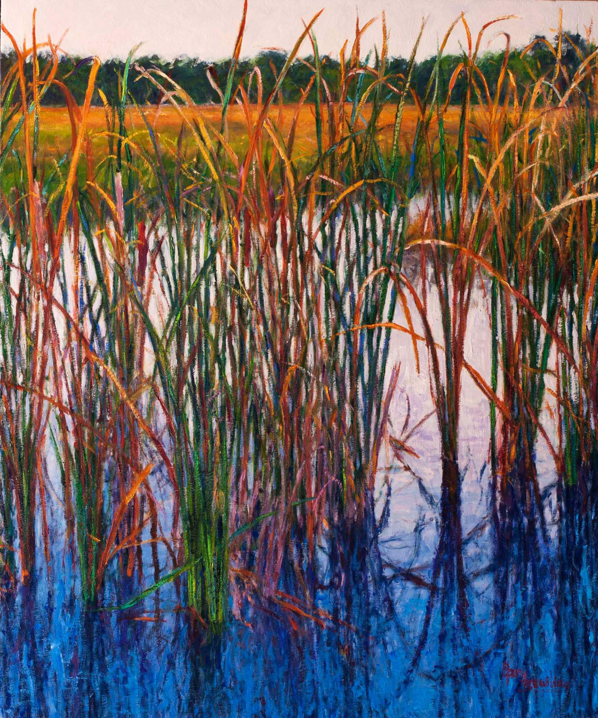 Cattails by Gary Bowling