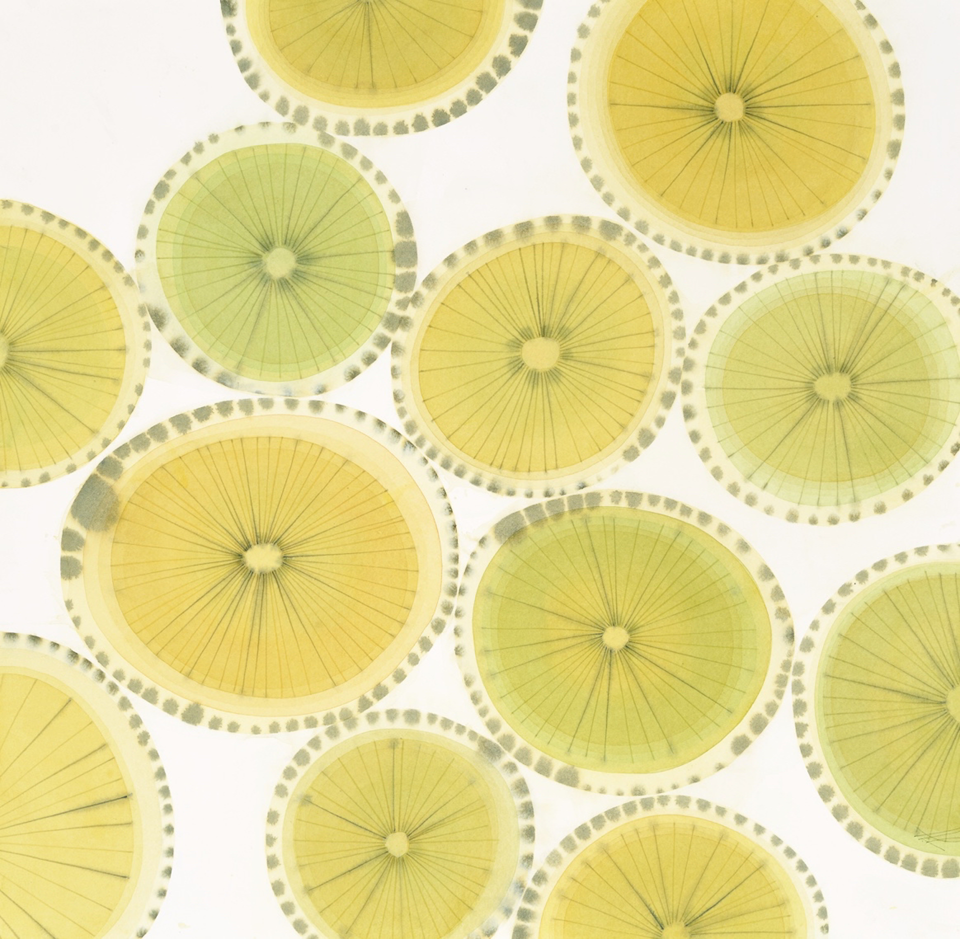 Lemons & Limes VII by Jan Heaton
