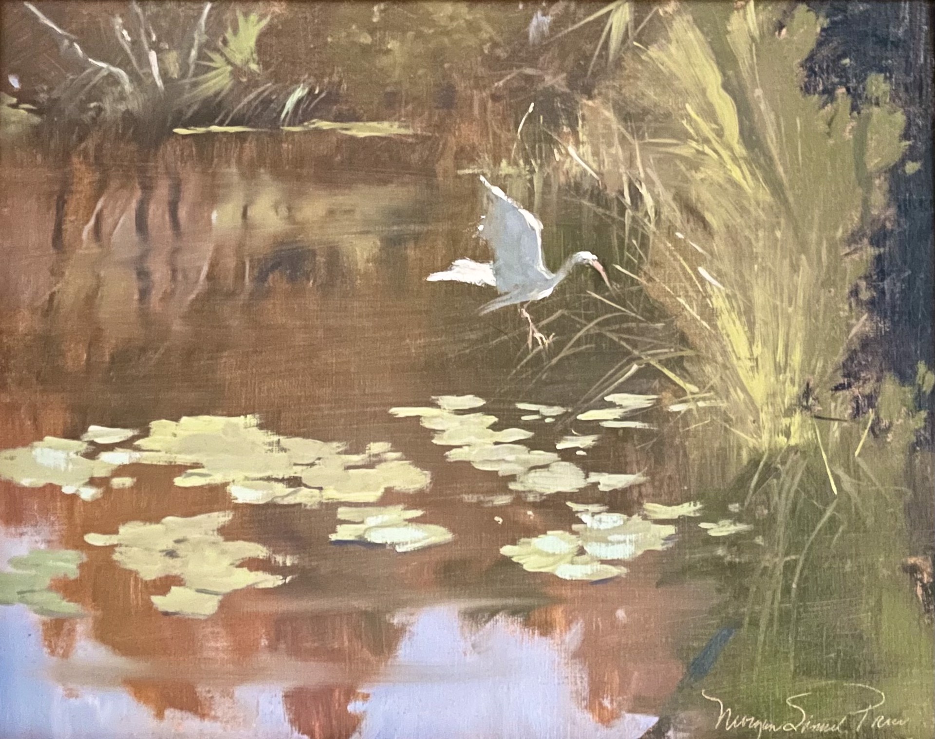 Ibis Pond by Morgan Samuel Price
