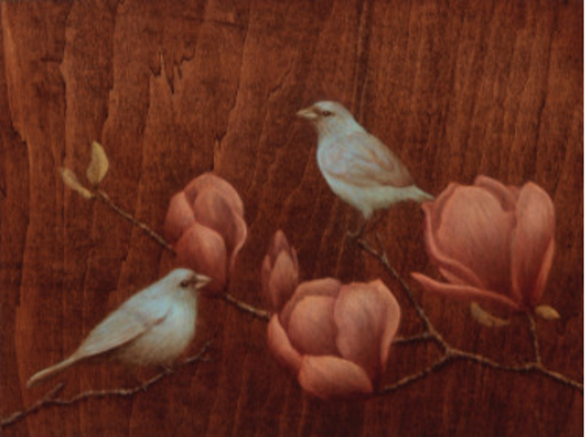 Magnolia by Susan Hall