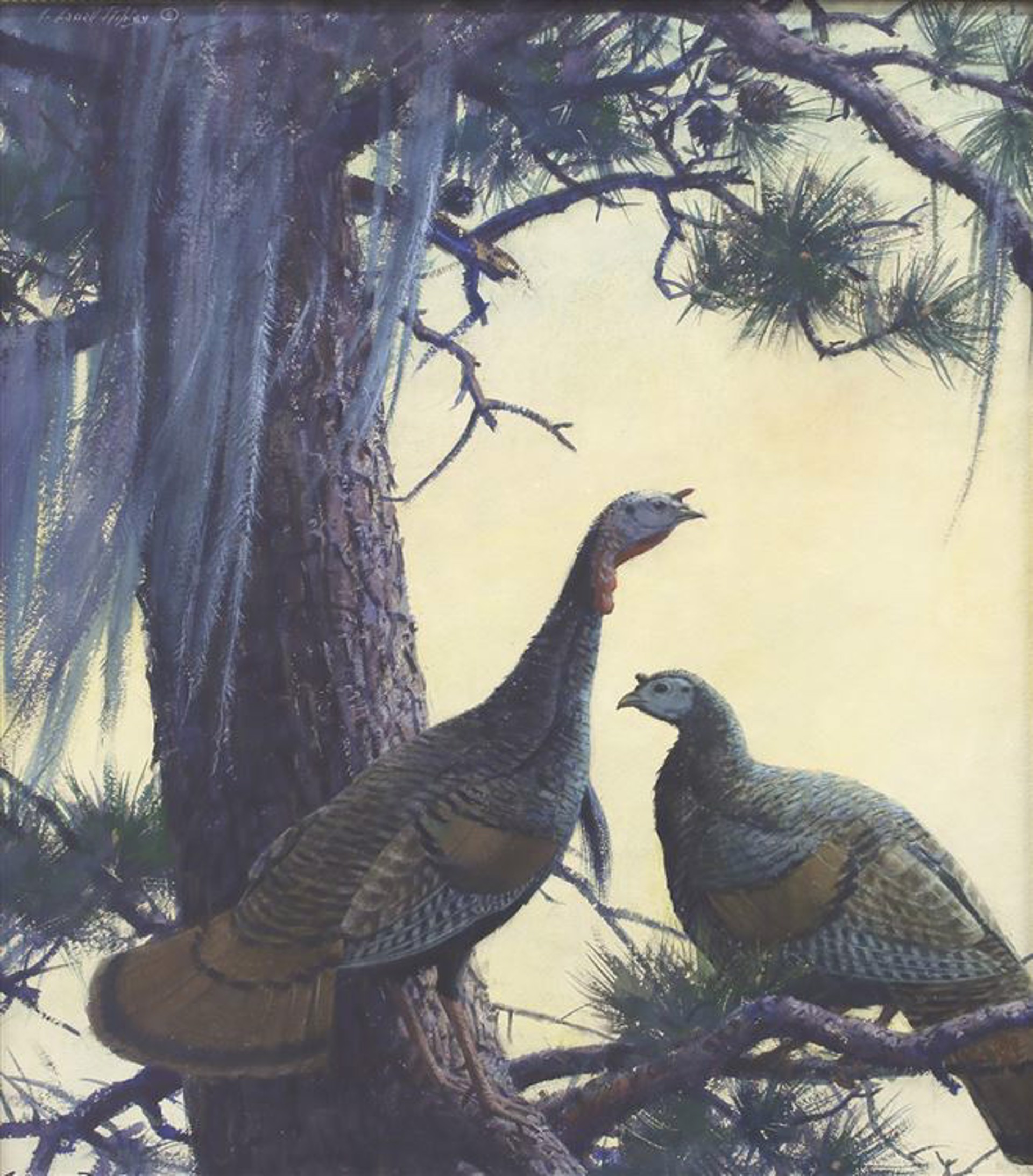 Turkeys Roosting by Aiden Lassell Ripley