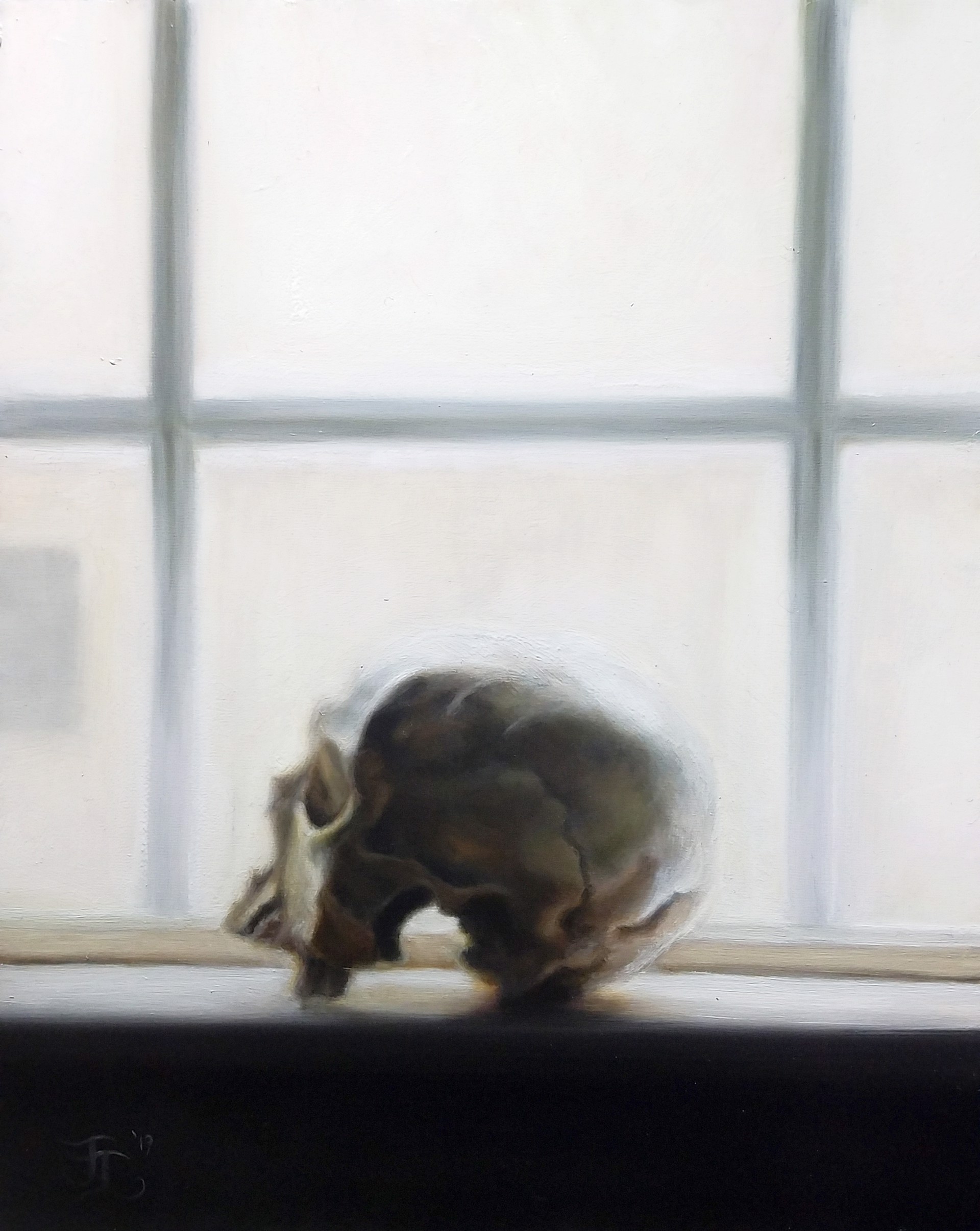 Skull Study by John Lally