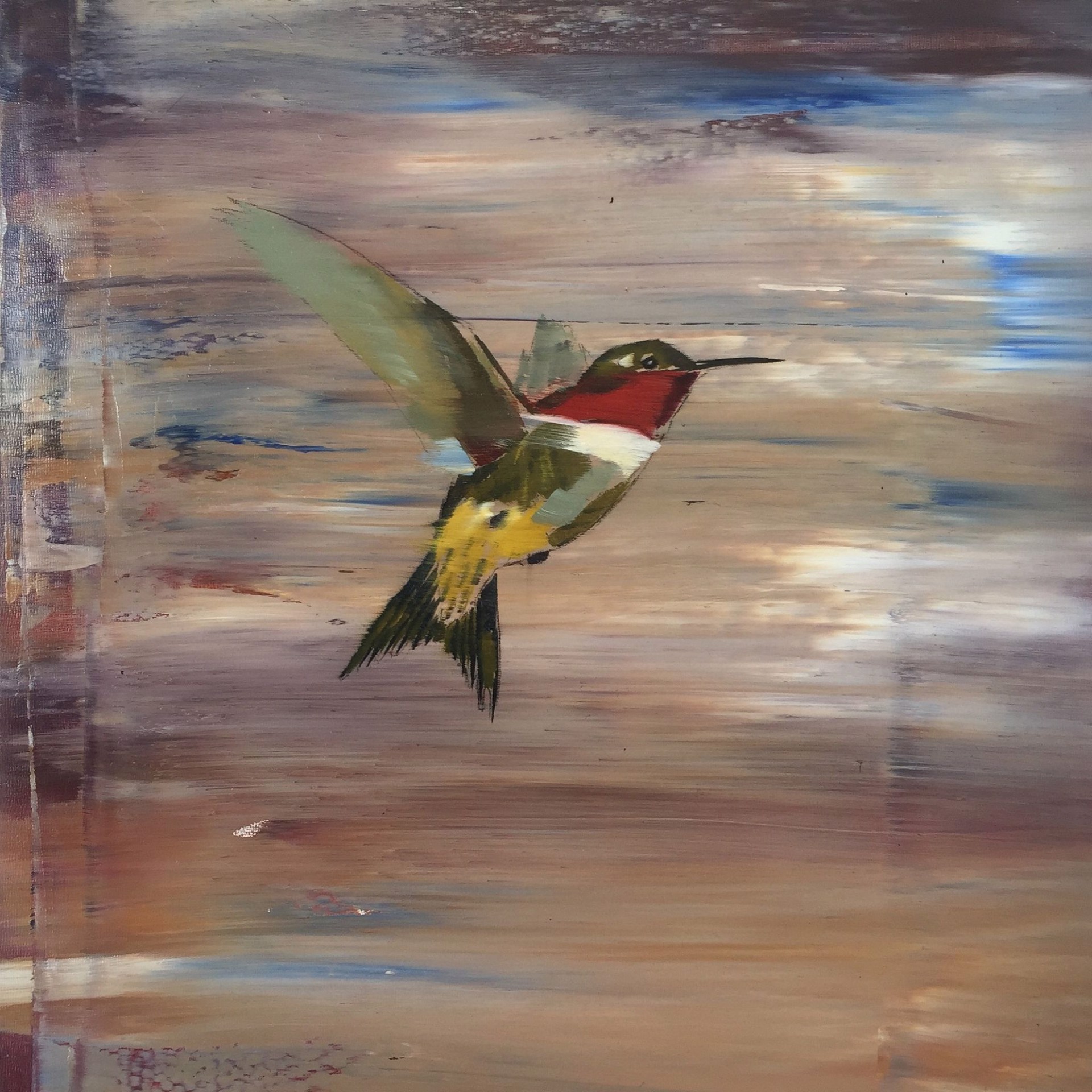 Hummingbird 1 by Douglas Schneider