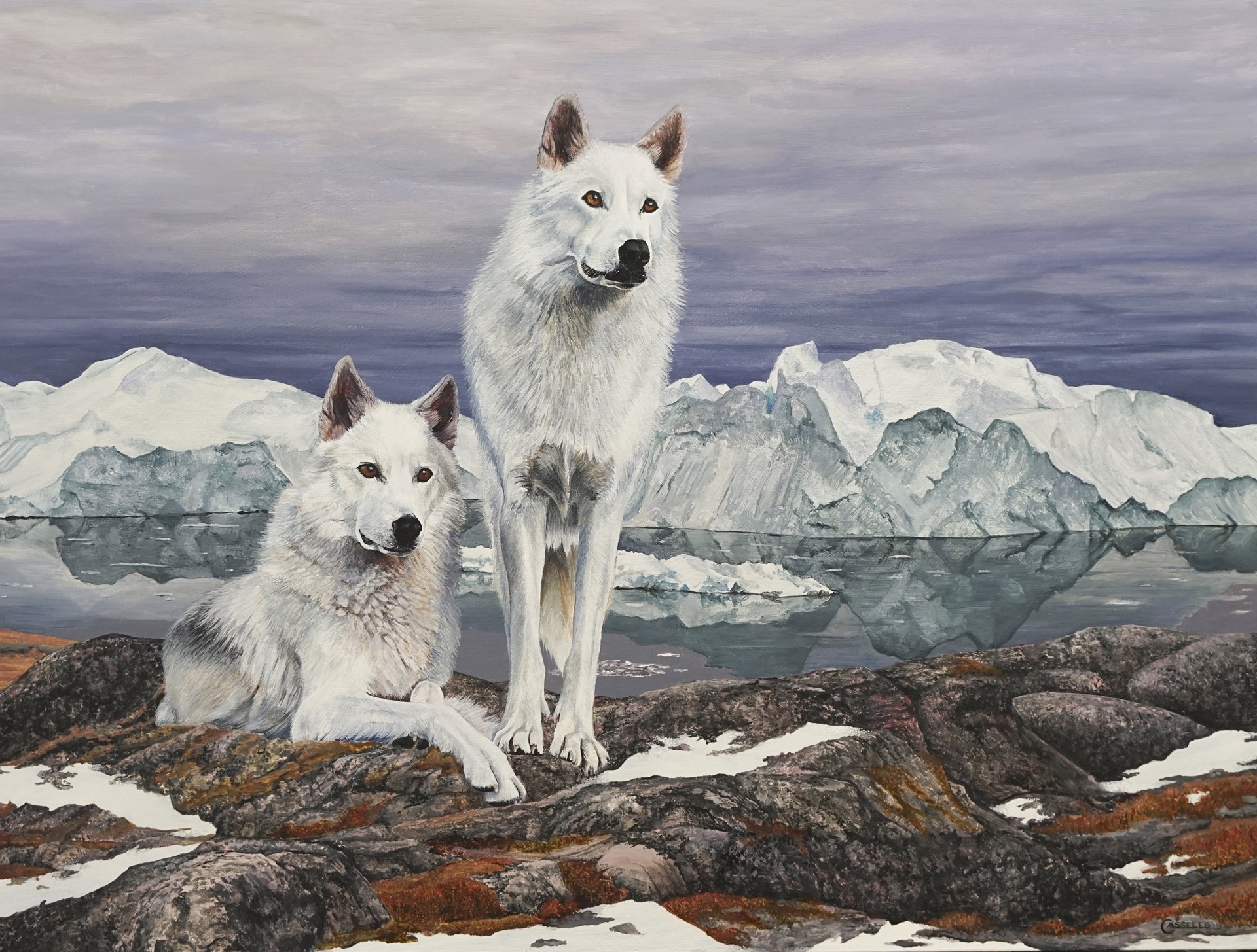 On the Lookout - Arctic Wolves by Laara Cassells