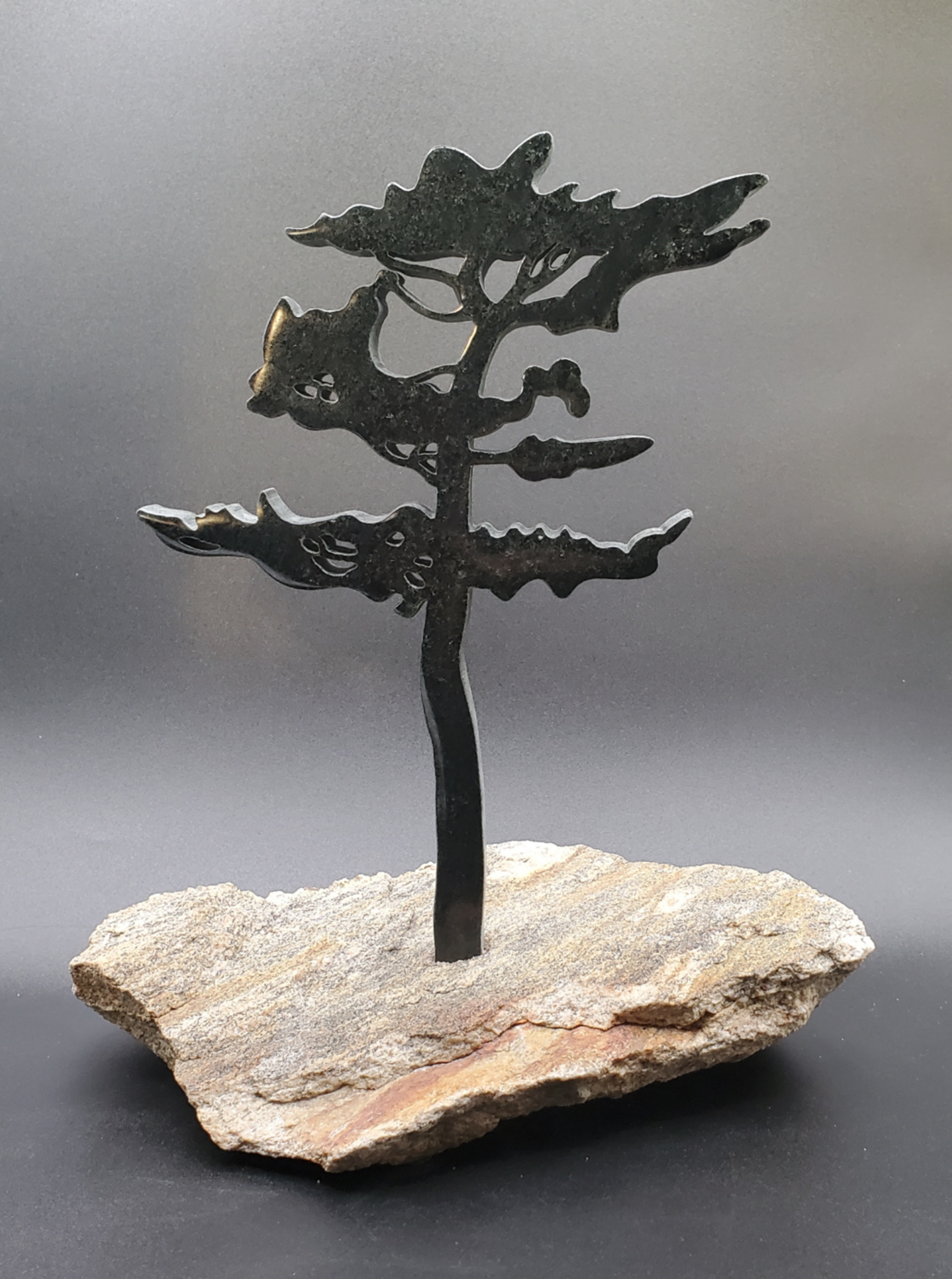 Dancing Pine by Nick Leniuk