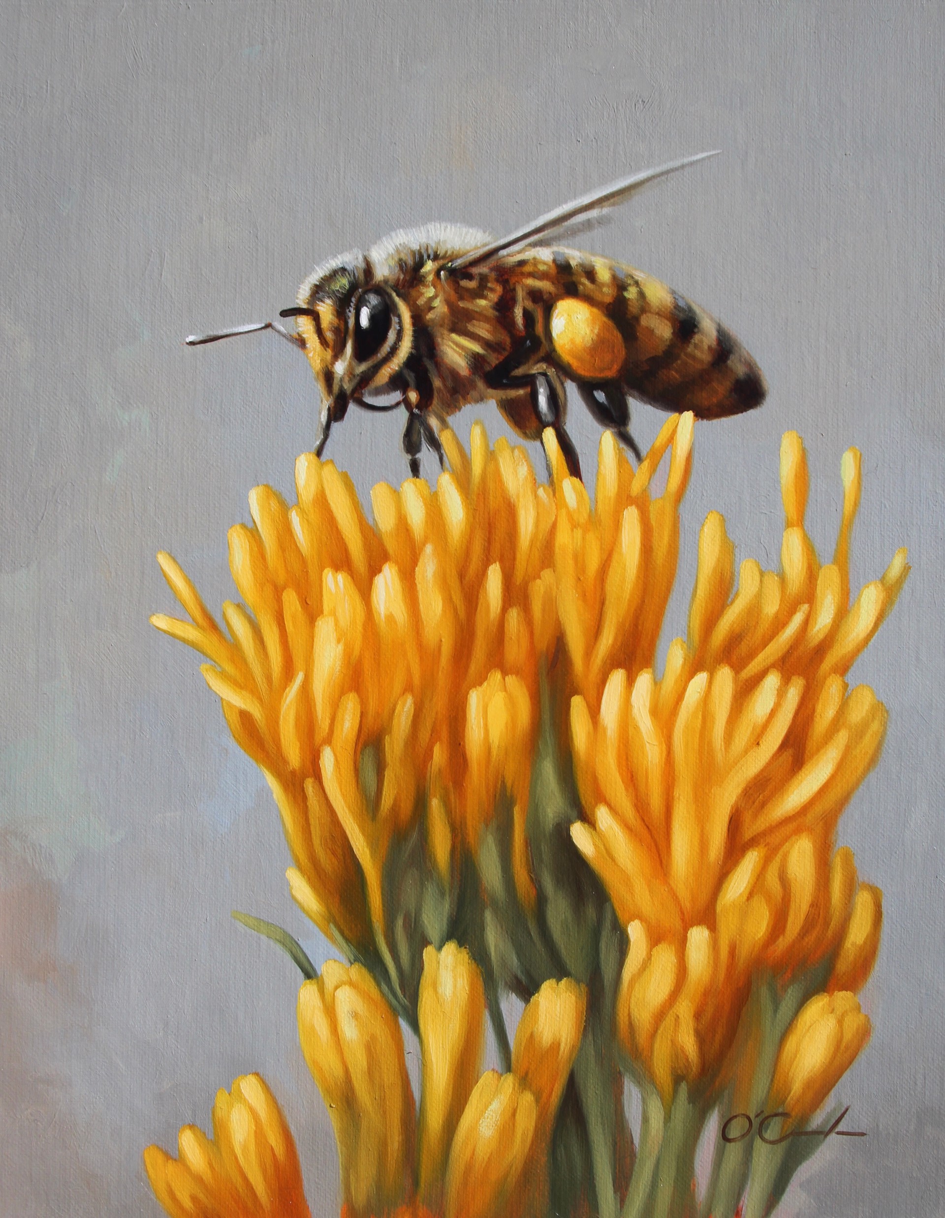 BEE'S BOUNTY by Jennifer O'Cualain