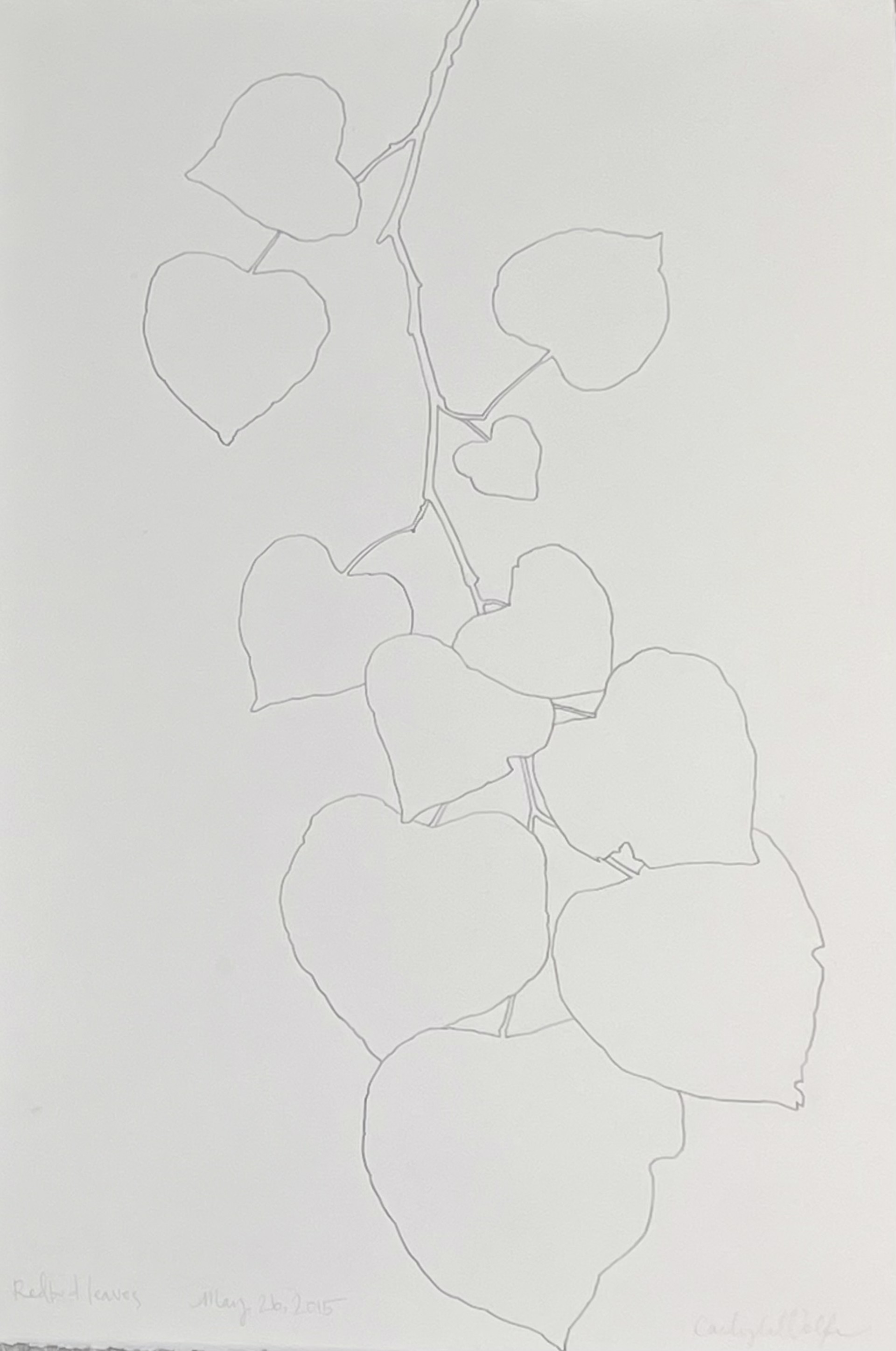 Redbud Leaves 1 by Carlyle Wolfe Lee