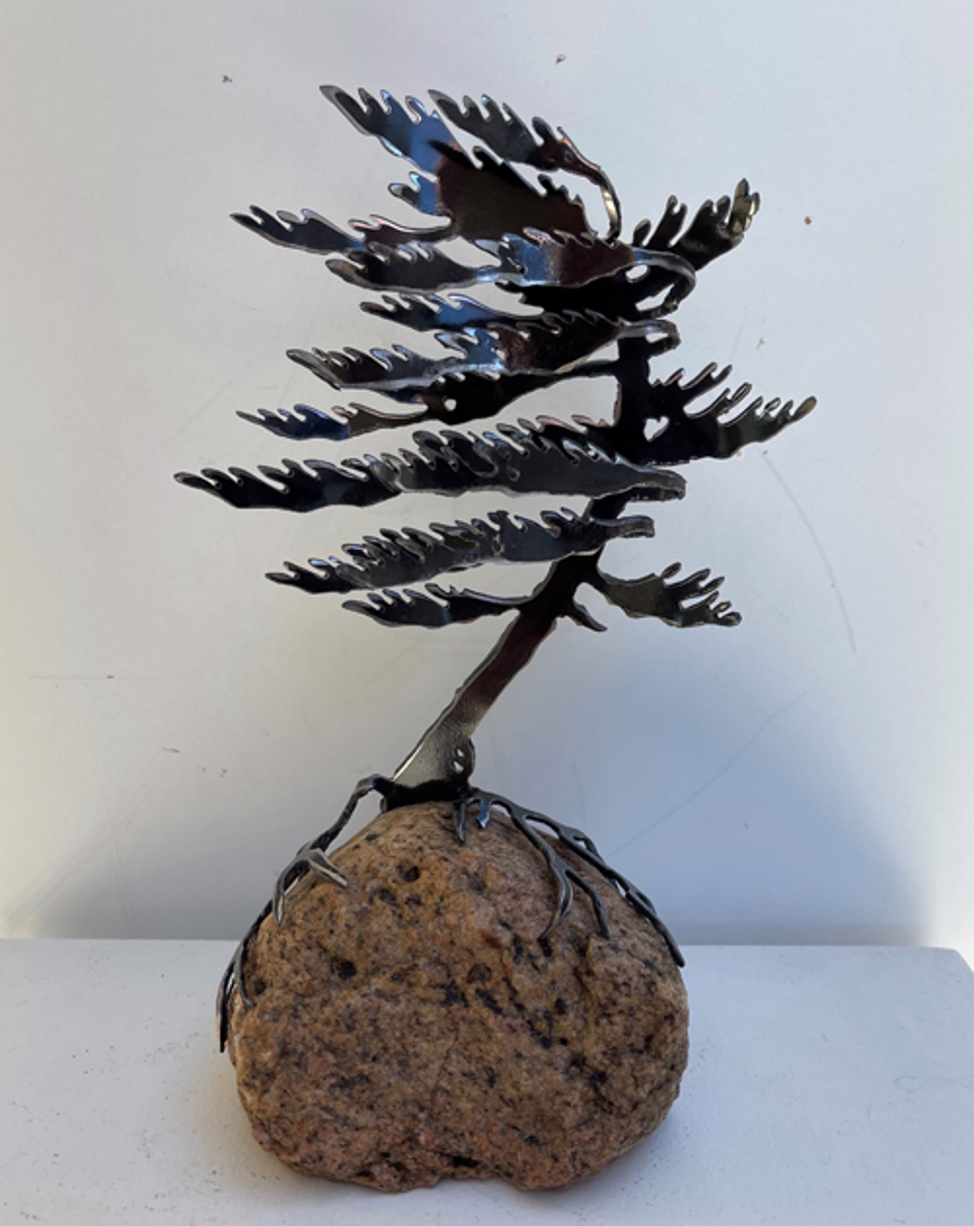 Windswept Pine 659634 by Cathy Mark