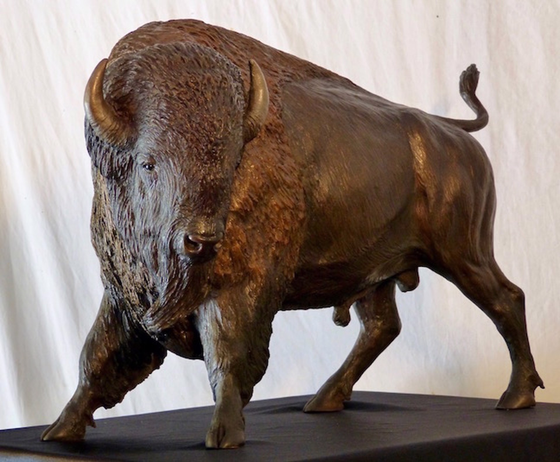 Bull Bison by Tom Hjorleifson
