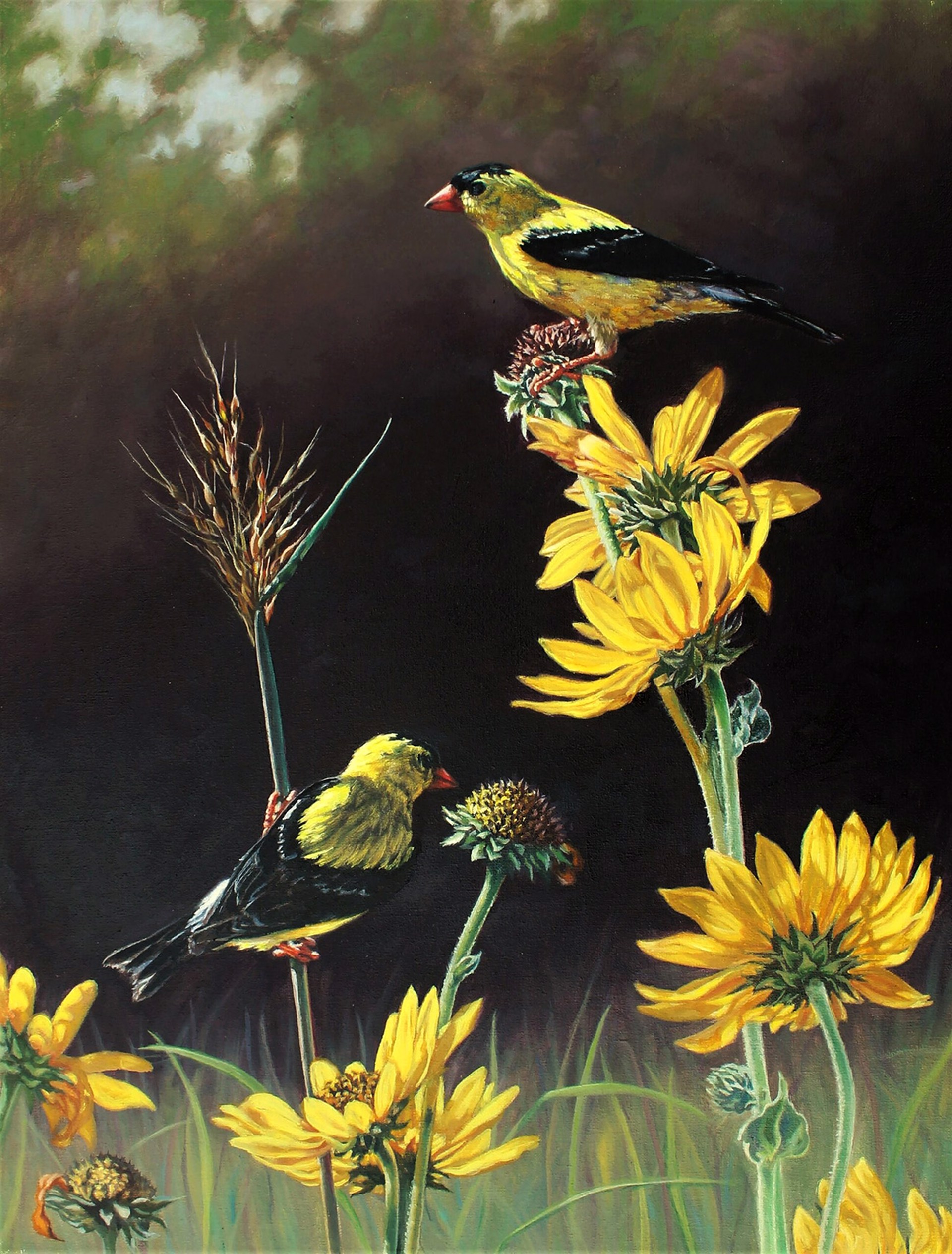 Deborah Brees "Gold in the Morning Sun" by Oil Painters of America