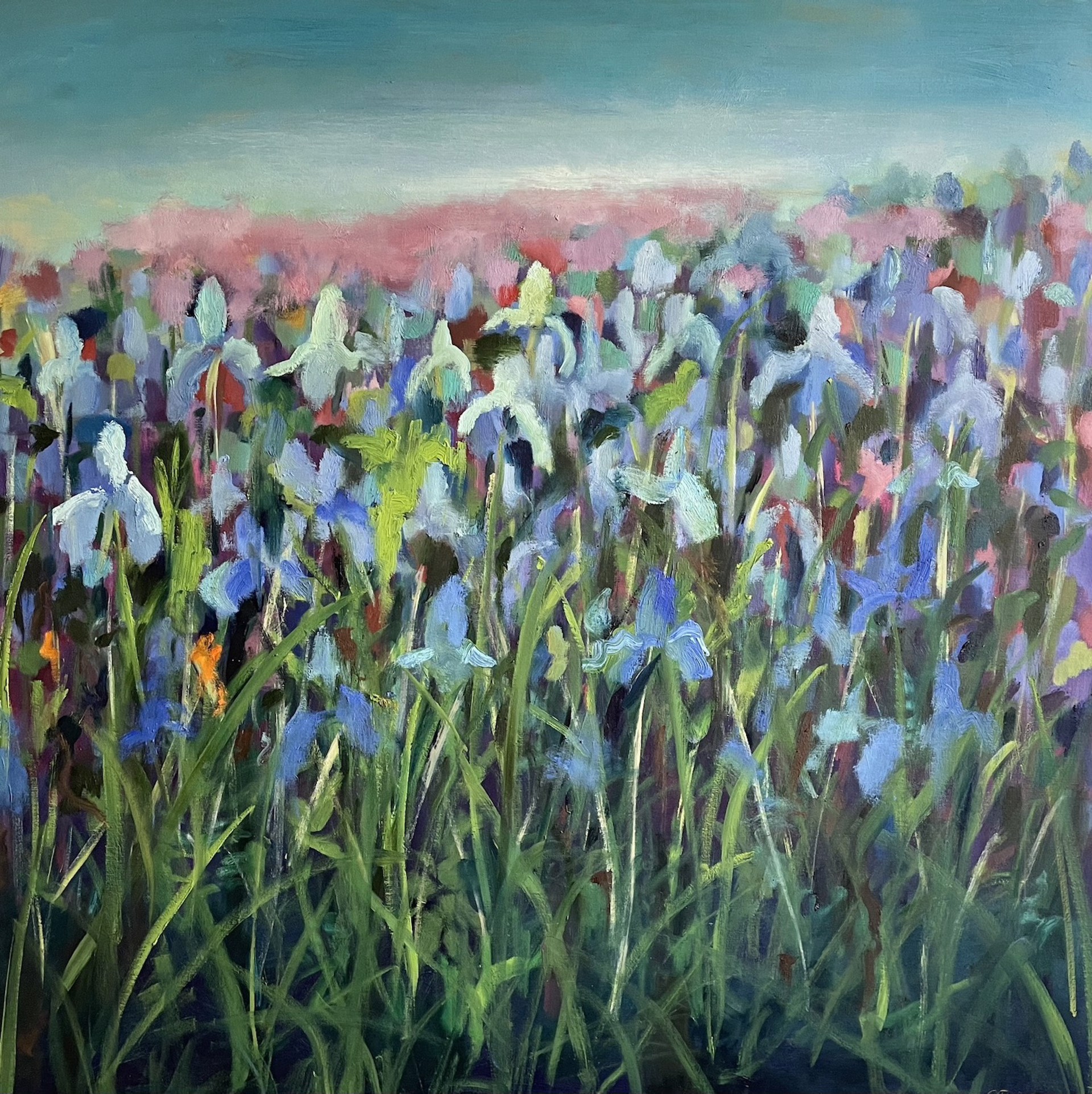 Iris Fields by Paul Chester
