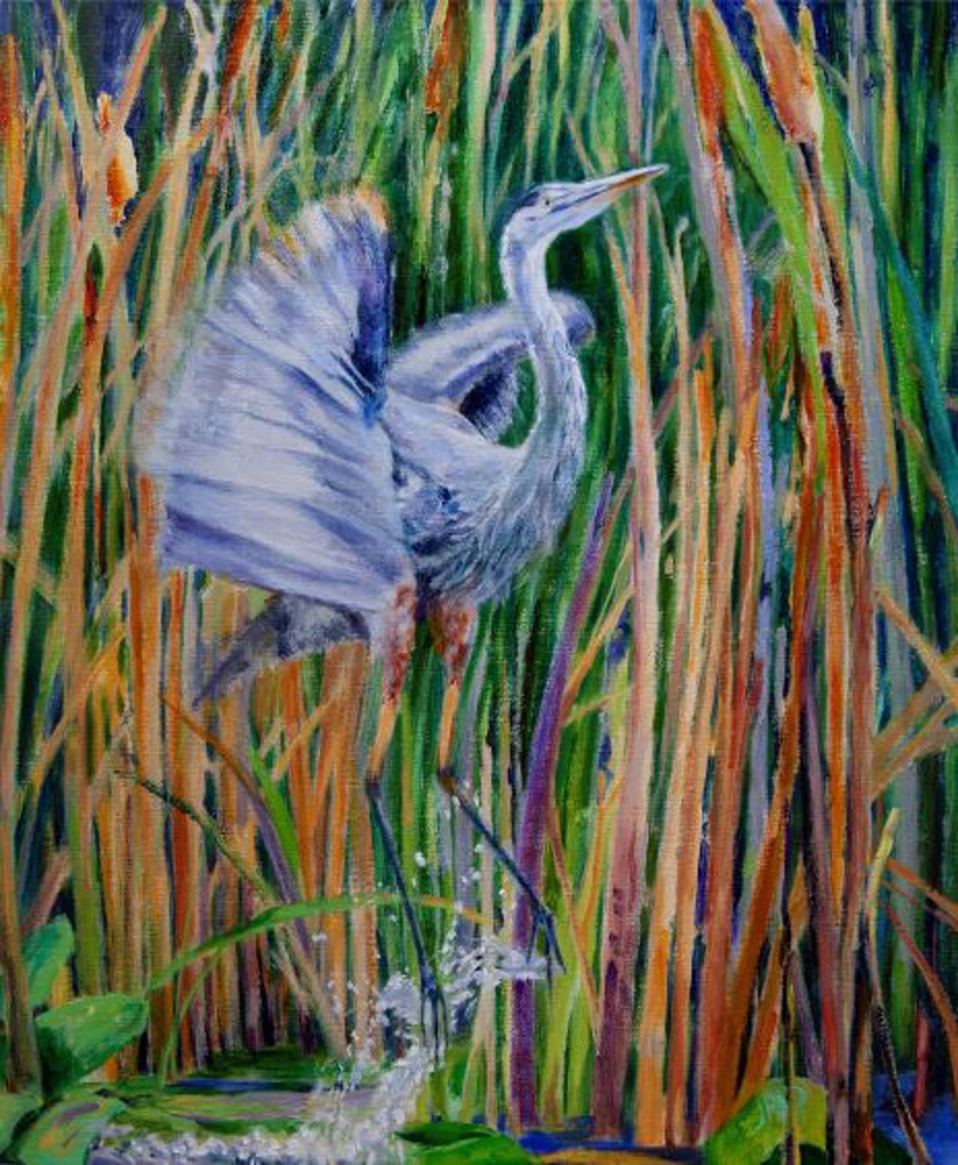 Great Blue by John Davenport