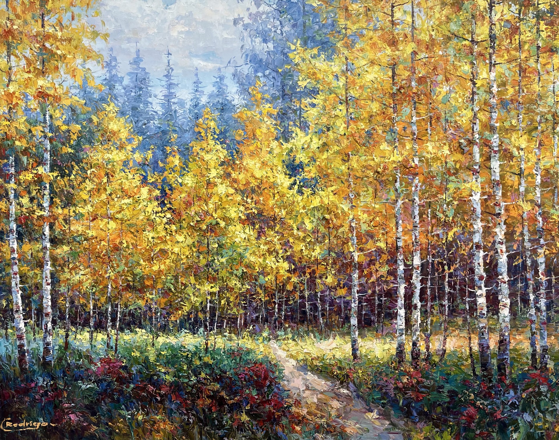 Golden Canopy by Rodrigo Rodrigo
