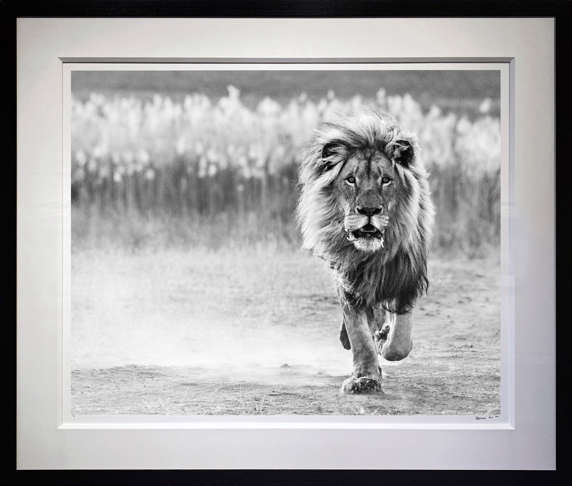One Foot On The Ground by David Yarrow