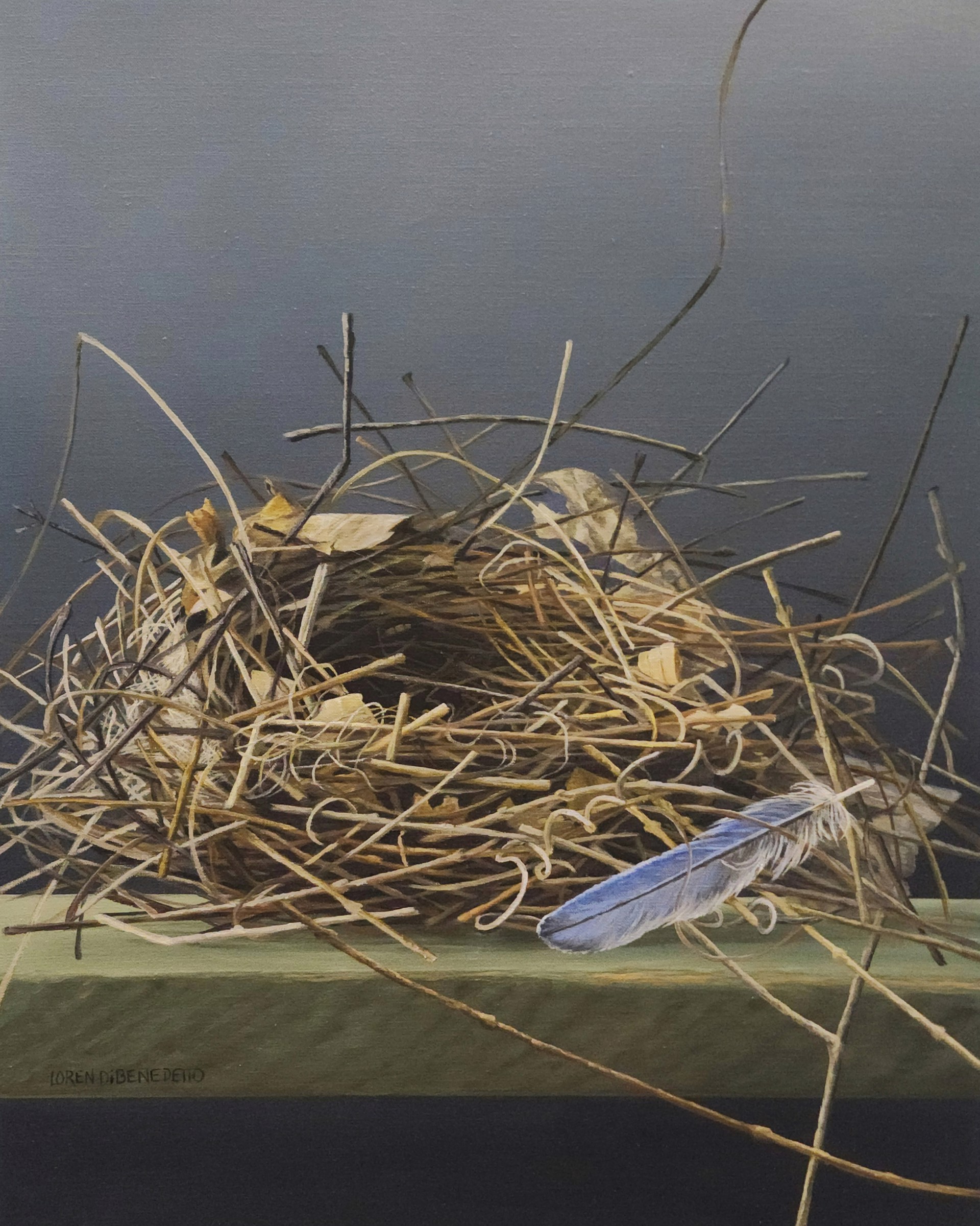 Nest and Feather by Loren DiBenedetto, OPA