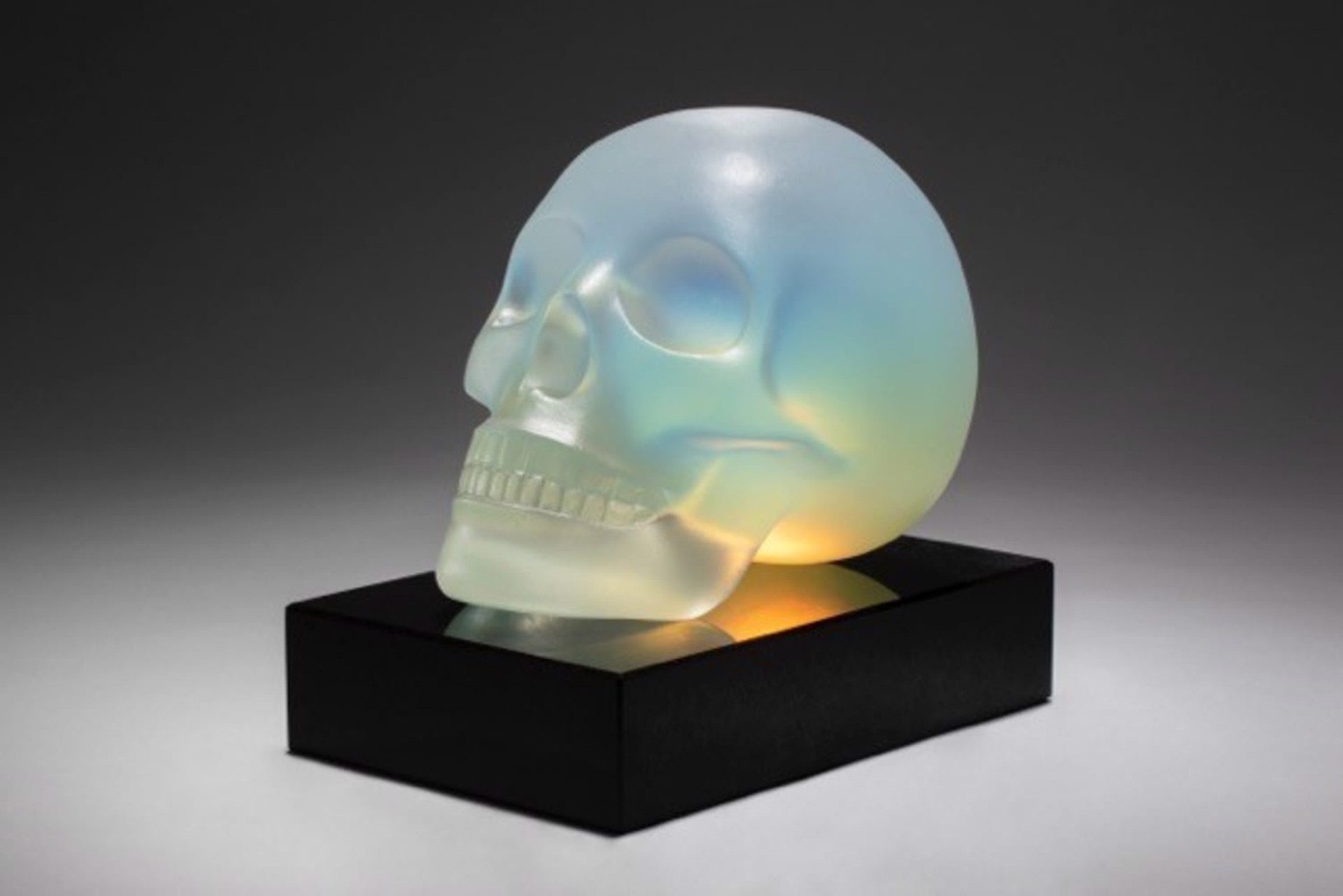 "Skull" by George Bucquet
