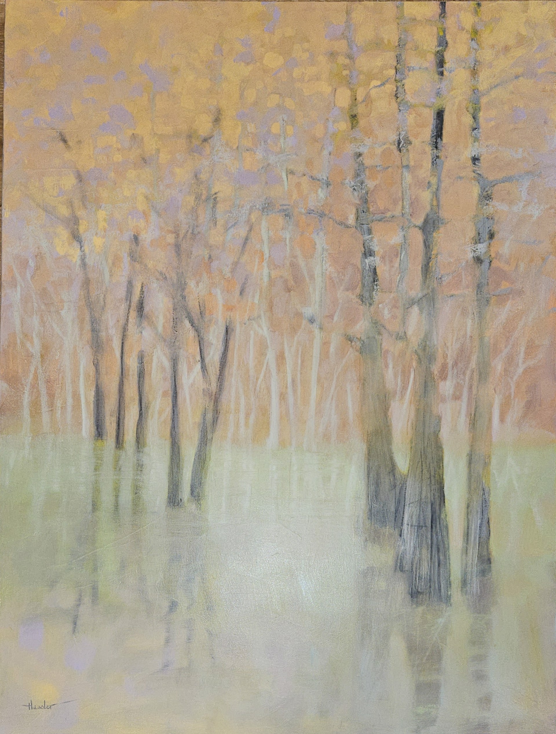 Spring Cypress by Pam Hassler