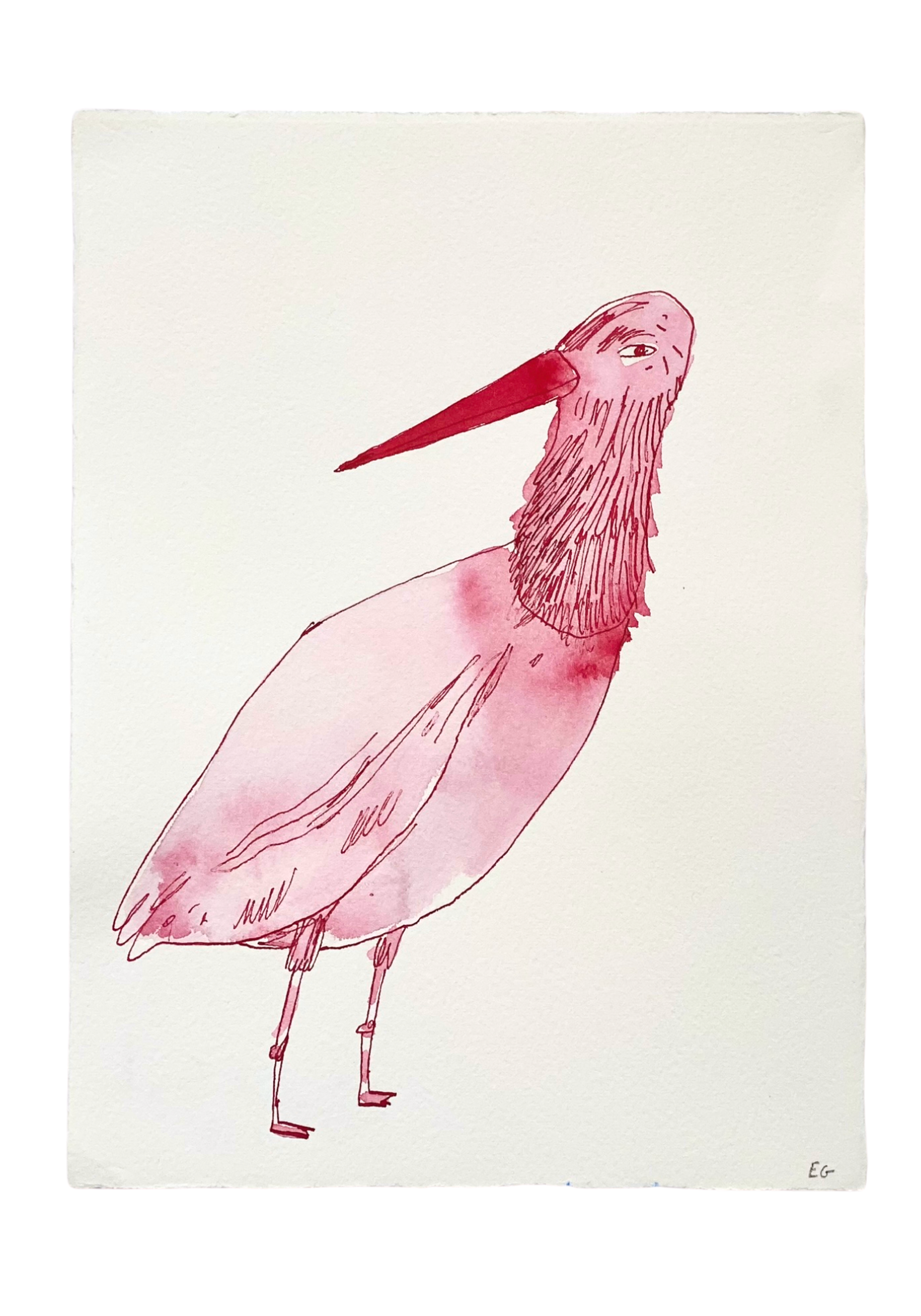 Pink Inkwash Bird #2 by ELIZABETH GRAEBER