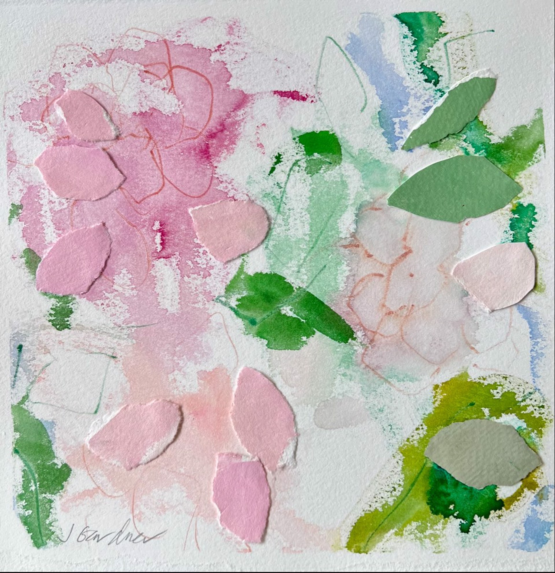 Camellia Collage by Joy Gardner