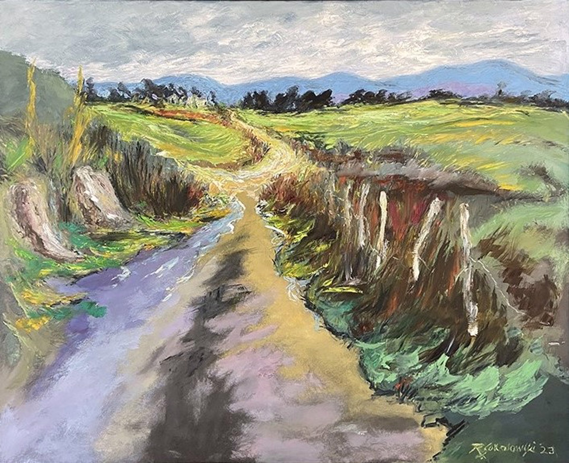 Clew Bay Path, Louisburgh, Ireland, #2 by Ray Sokolowski