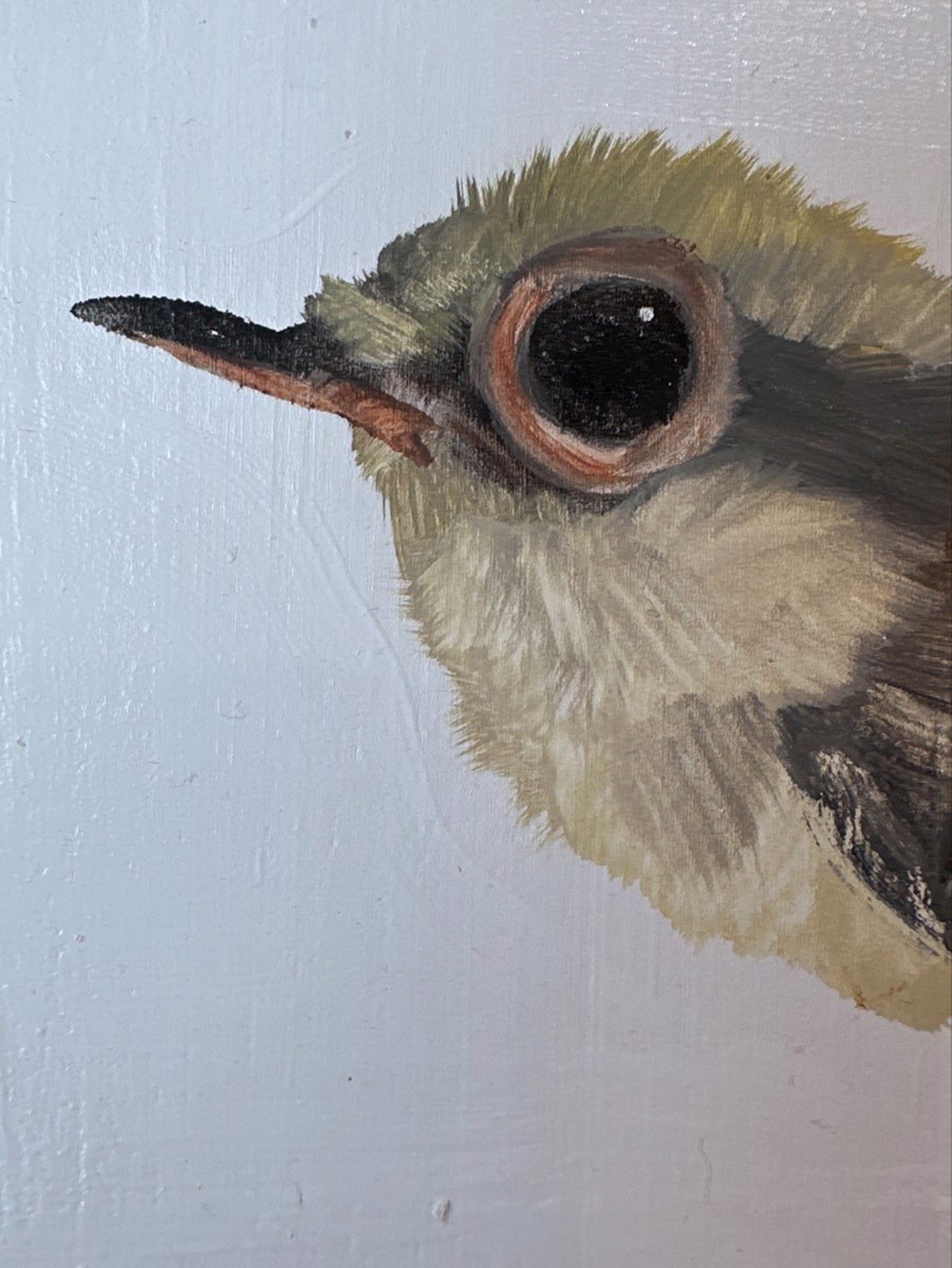 Bird Block (gray) by Diane Kilgore Condon
