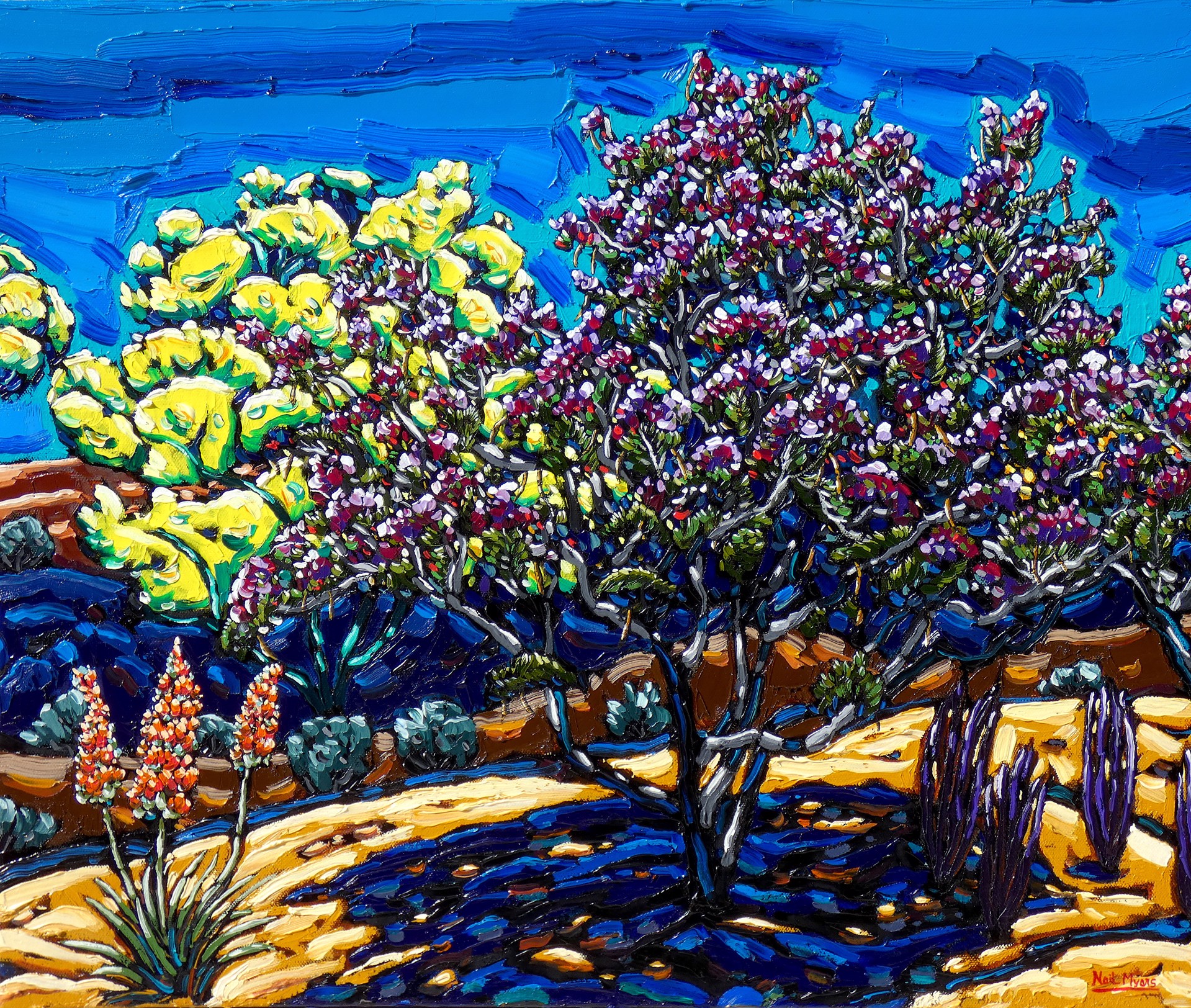 Desert Willow and Paloverde by Neil Myers