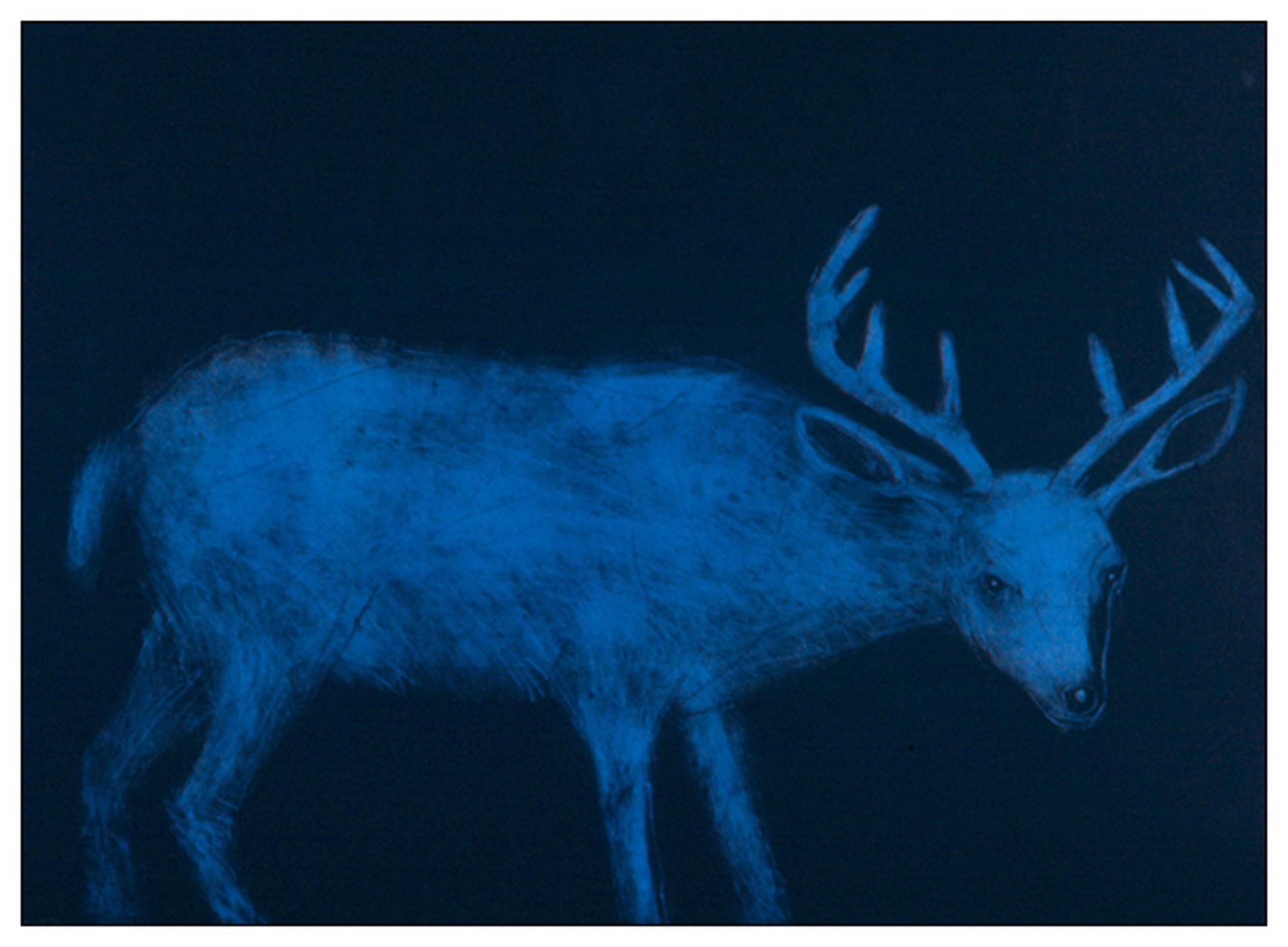 Night Deer by Paula Schuette Kraemer