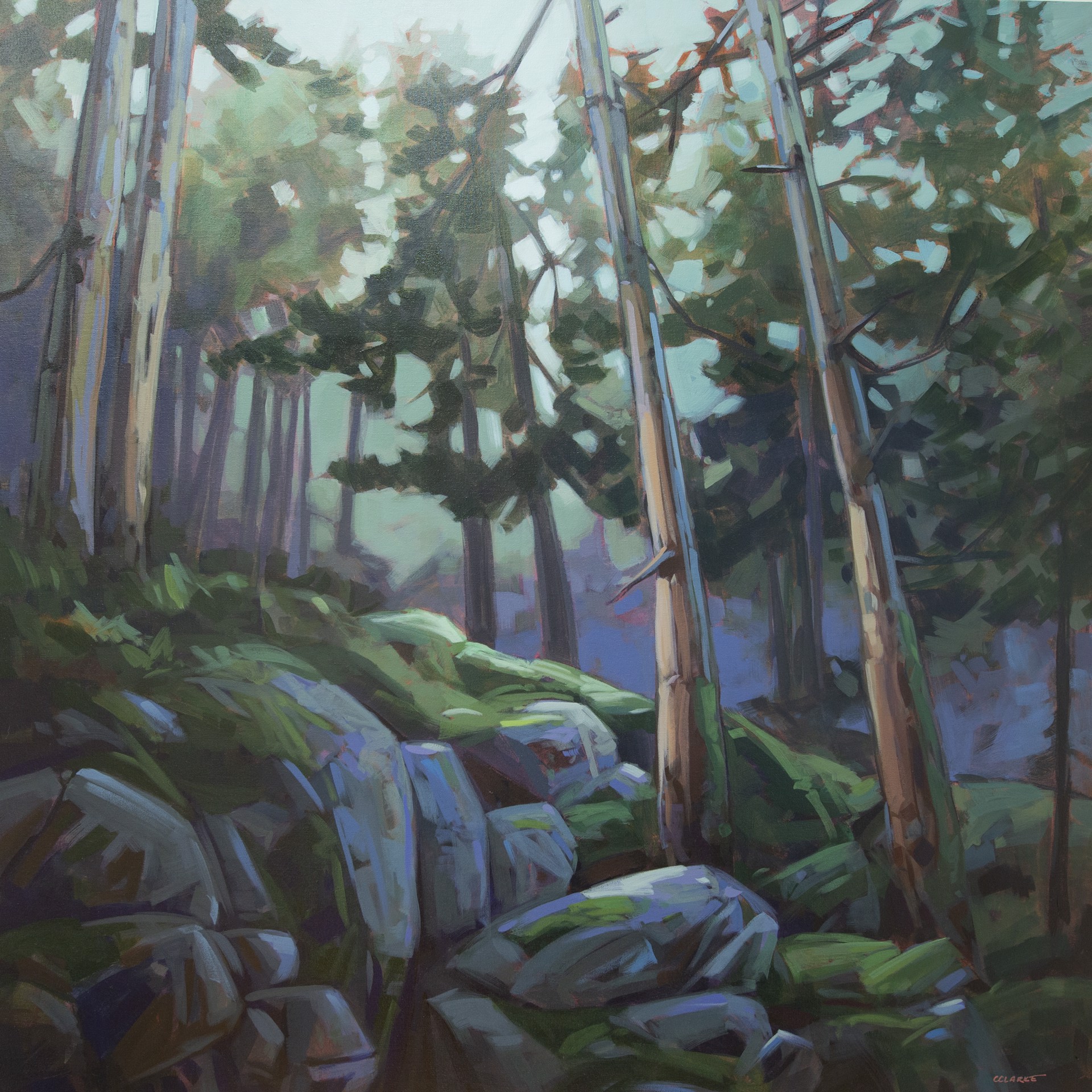 Under Canopy by CHRISTINA CLARKE