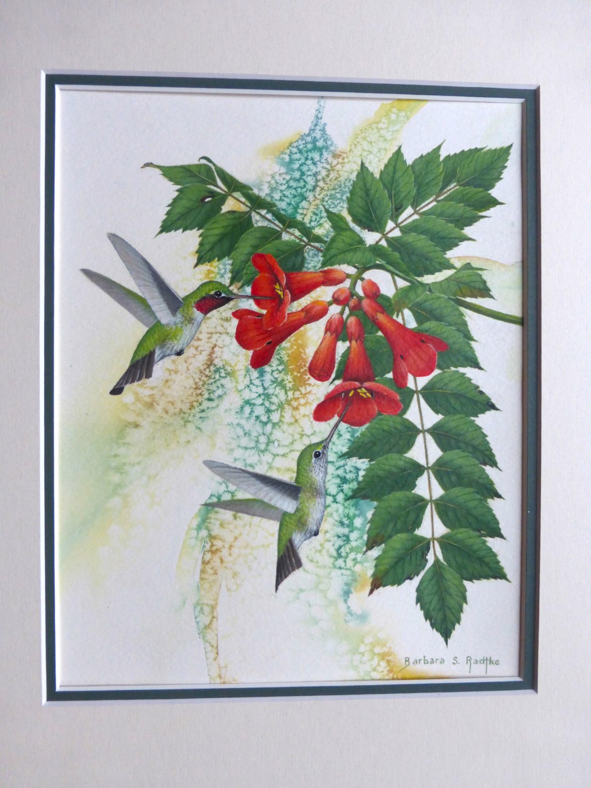 July Trumpets Calling - Ruby Throated Hummingbirds by Barbara Radtke