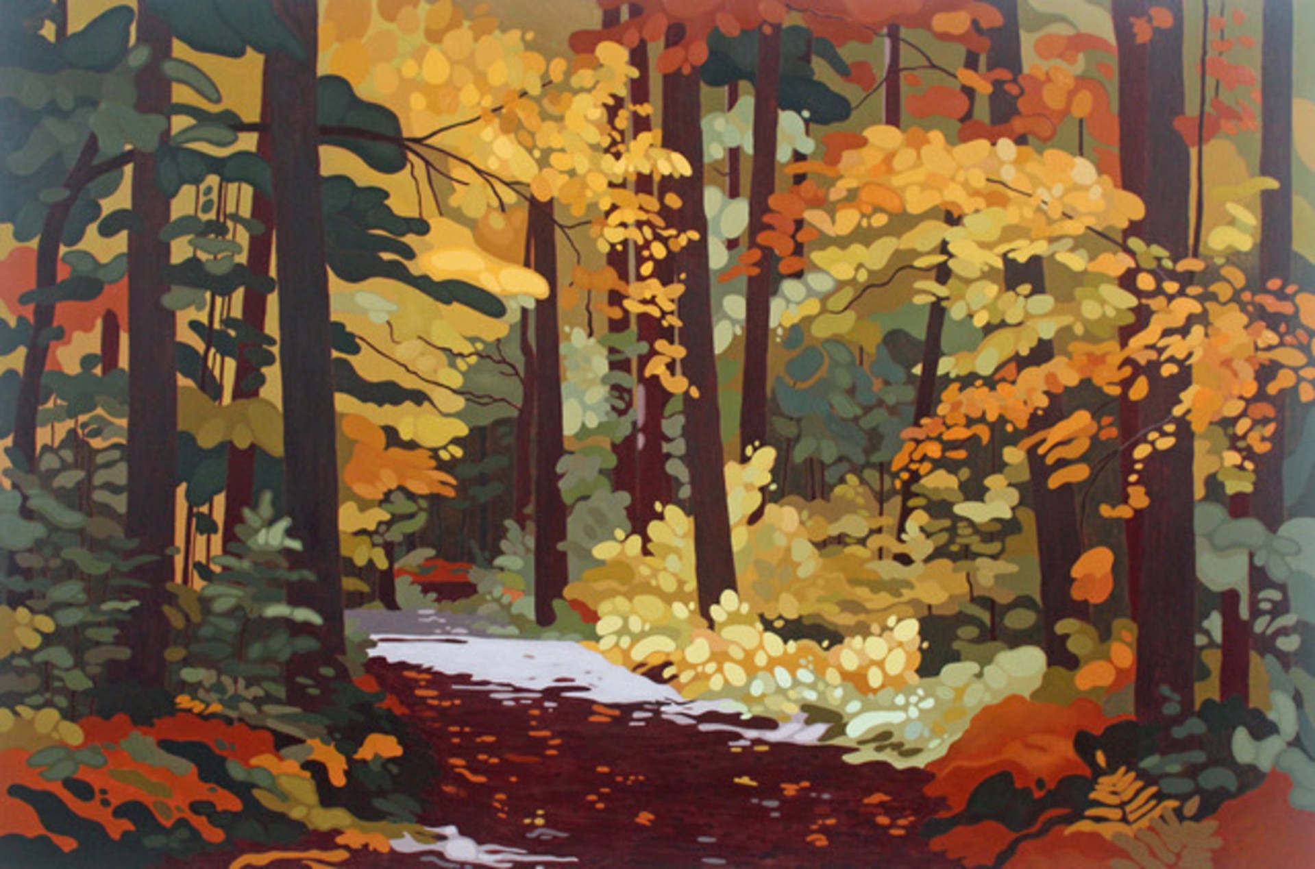 Sunlit Forest Road by Leanne Baird