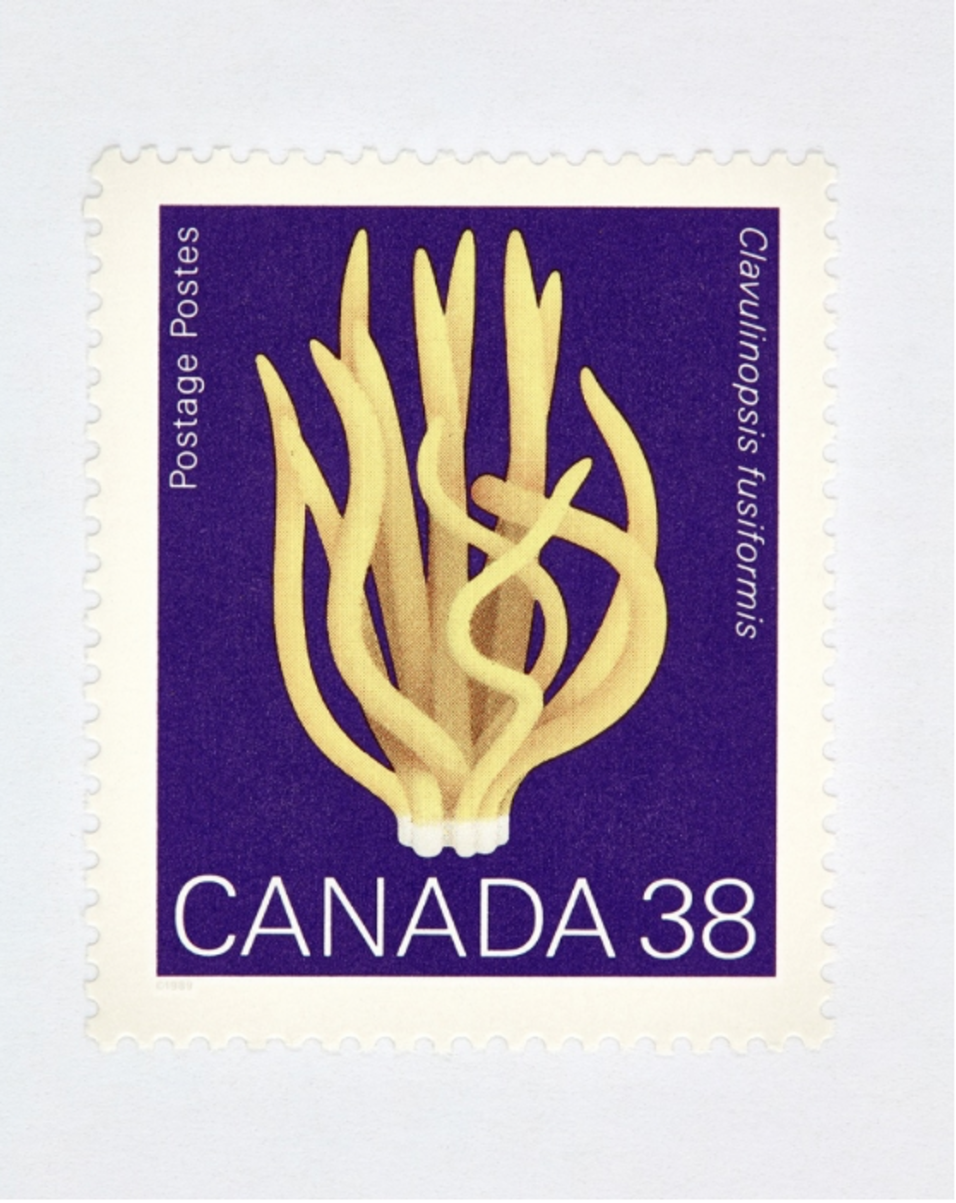 Canada 38 Mushroom Stamp (Purple) by Peter Andrew Lusztyk | Collectibles