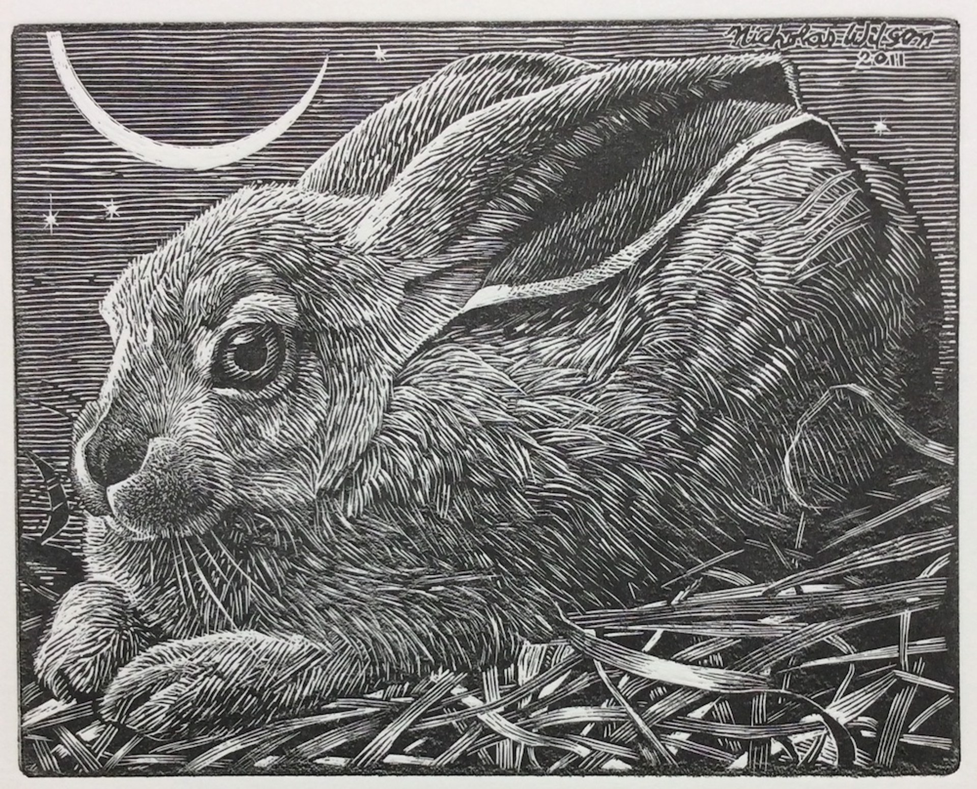 Cosmic Rabbit by Nicholas Wilson