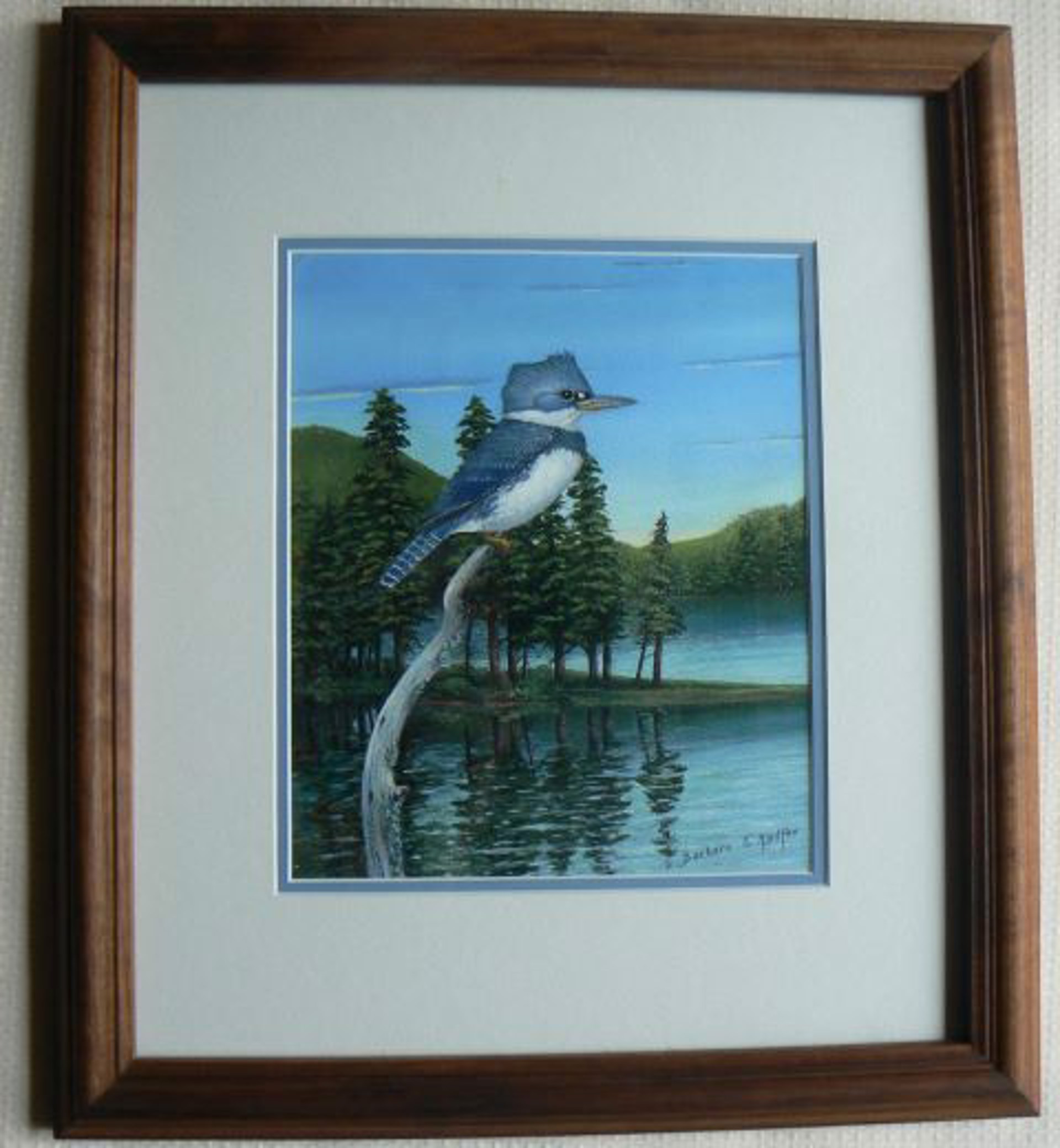 Along the Lakeshore - Belted Kingfisher by Barbara Radtke