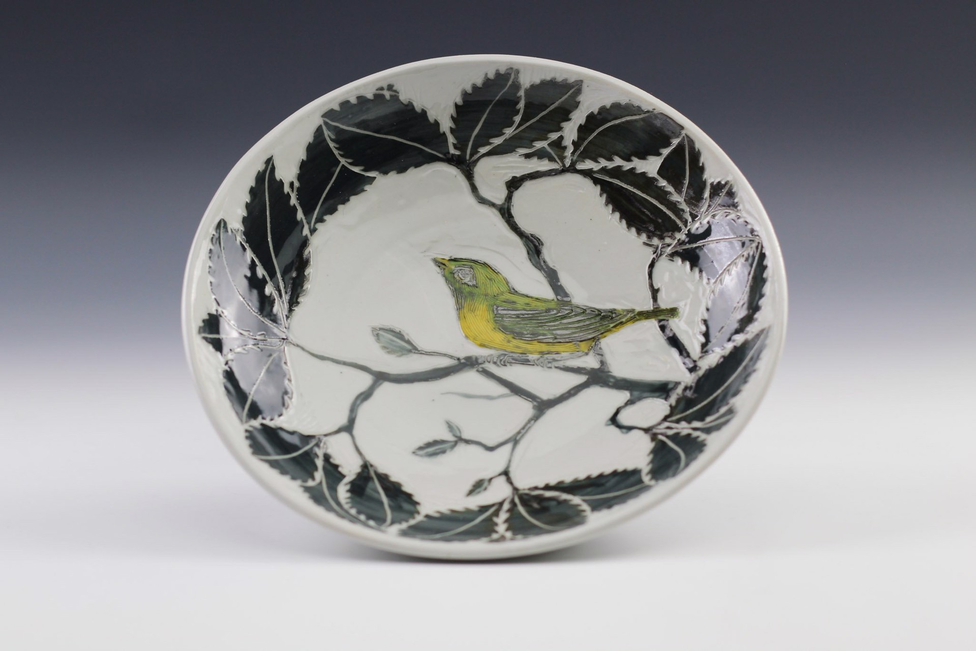 Warbler Dish by Glynnis Lessing