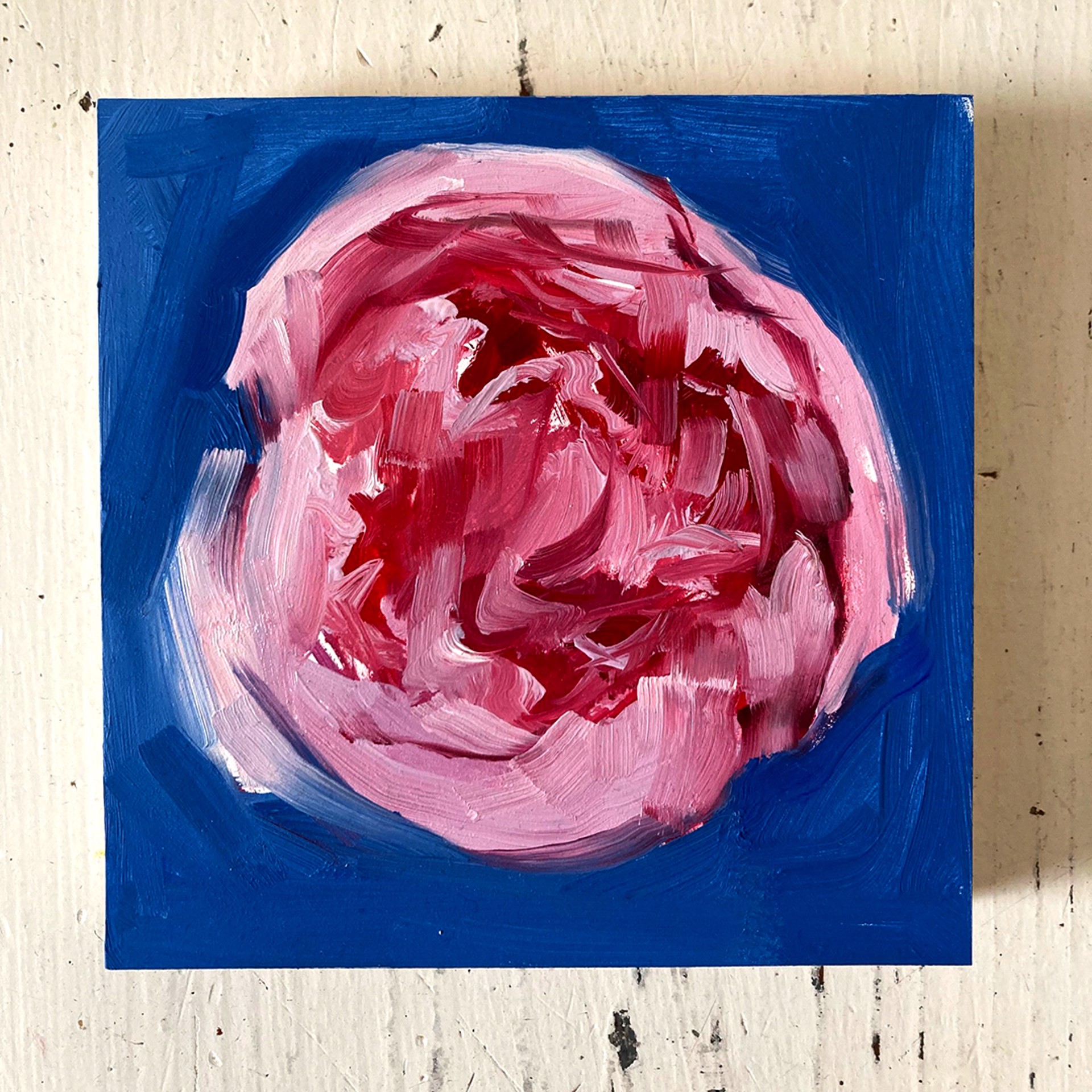 Peony Project #6 by Amy R. Peterson*